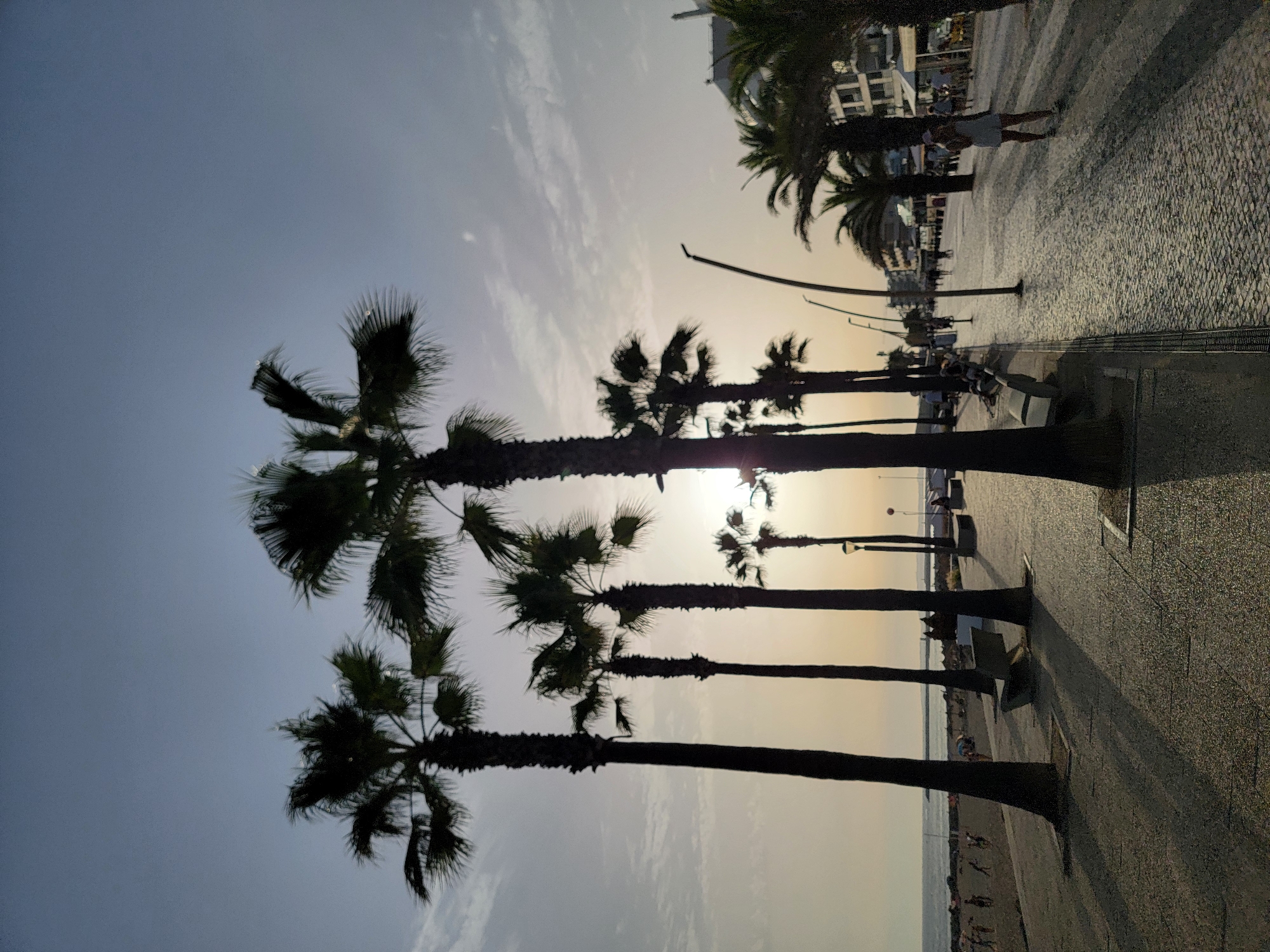 The image depicts a view of the Quarteira promenade in Portugal during a sunset. A row of palm trees lines the promenade, casting long shadows on the cobbled walkway. In the background, the beach is visible with several people walking and relaxing. Buildings and shops are situated behind the promenade. The sky is a gradient of pale blue to warm orange hues, indicating the setting sun. A few people are seen strolling along the promenade, some sitting on benches, while others are further down the walkway near the buildings. A solitary woman in a light-colored outfit is walking towards the viewer on the right side of the promenade. The overall scene conveys a peaceful and relaxed atmosphere characteristic of a coastal town at dusk.