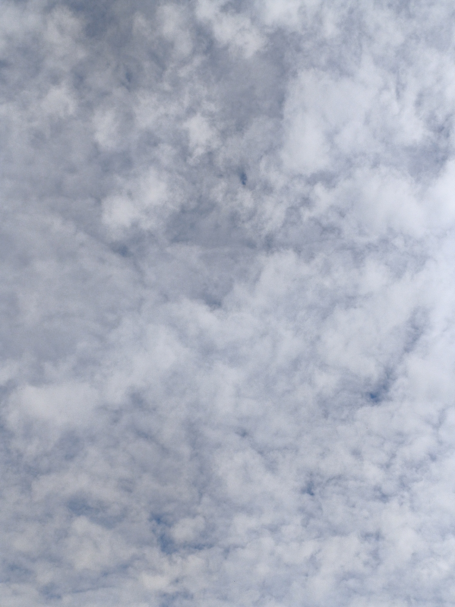 The image is a medium-shot, vertical, overcast sky with a muted blue hue. A dense scattering of white and grey clouds fills the frame, creating a textured, diffused light. There are no discernable objects, people, or actions visible within the frame, presenting a natural, ambient atmospheric condition. The location in Ustyvytsia, Ukraine, is not visually indicated by any specific landmarks or features in the image.