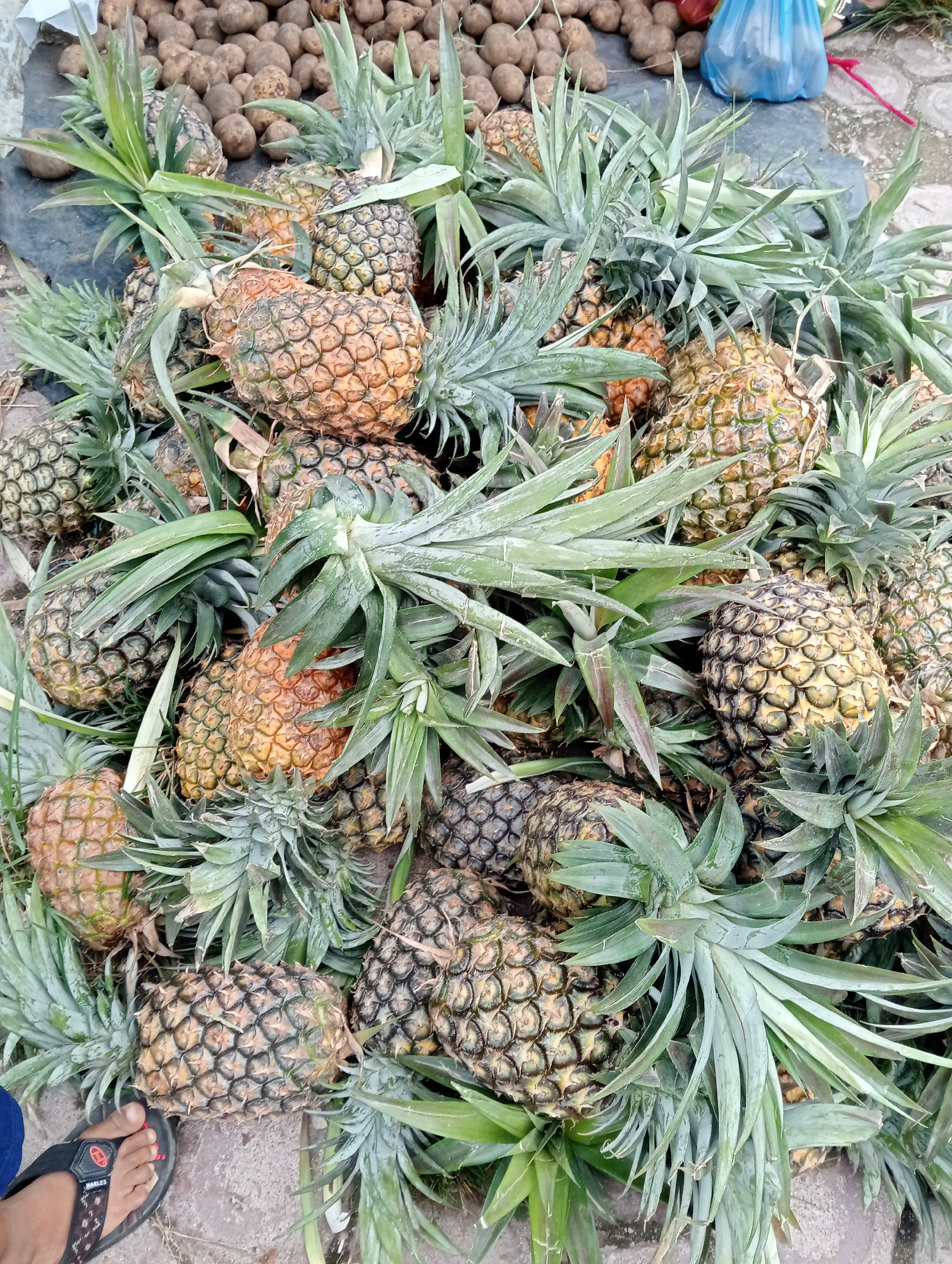 The image shows a large pile of pineapples, stacked haphazardly on a surface in Pulorayeuk, Indonesia. The pineapples are in various stages of ripeness, ranging from green to yellowish-orange. Each pineapple has a crown of green leaves. In the background, there is a pile of brown potatoes or similar root vegetables on a dark surface. A blue plastic bag is also partially visible. In the bottom left corner, part of a person's foot wearing a sandal is visible. The ground is paved with light-colored stones.
