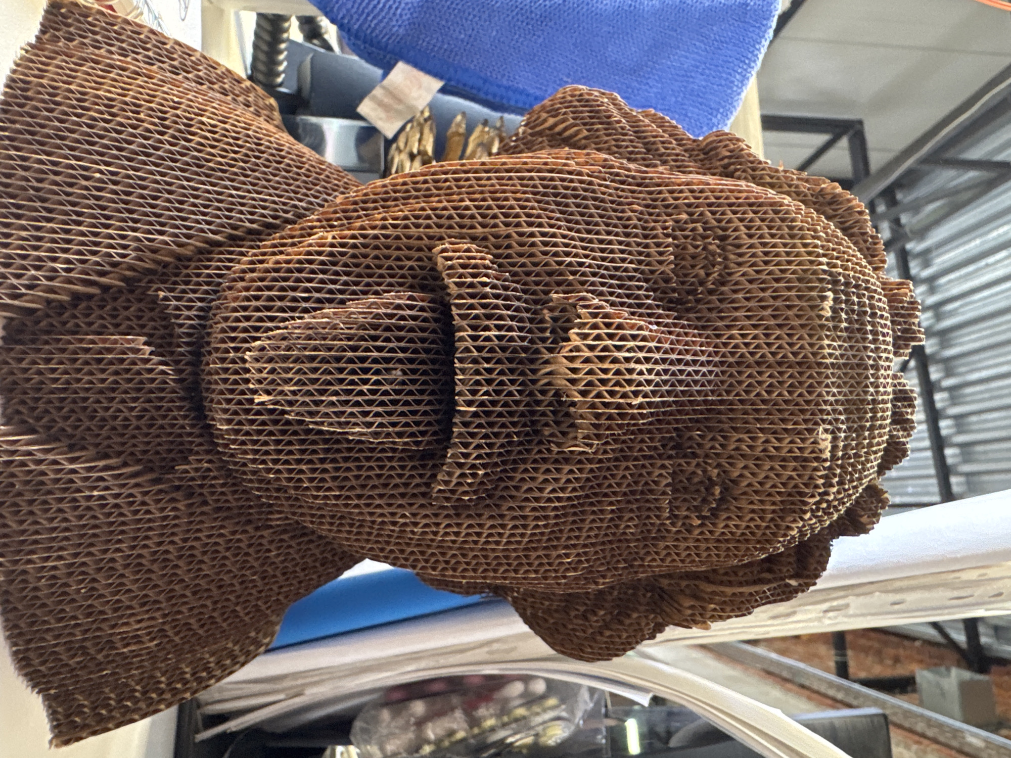 A close-up shot reveals a three-dimensional sculpture resembling a human face, constructed entirely from layers of corrugated cardboard. The cardboard's exposed edges create a striated effect, emphasizing the contours of the face and suggesting details like eyes, nose, and mouth. The sculpture's brown color complements the material's texture.
The sculpture appears to be suspended or placed among various objects and structures, including blue fabric, metal rods, and stacks of papers. It is unclear if the location is in the city of Chaikovsky, Russia.
