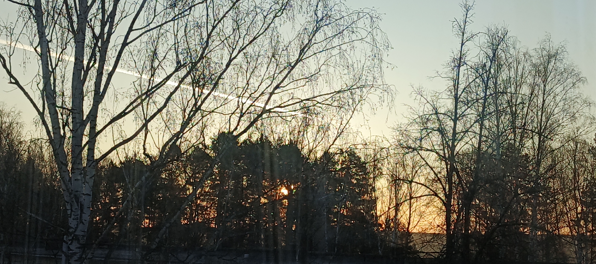 The image shows a forested area during sunset, likely in Chaikovsky, Russia. The silhouette of trees, mostly bare branches, dominates the scene. The sunset creates an orange glow visible through gaps in the trees. Two distinct contrails are visible in the upper left of the image.