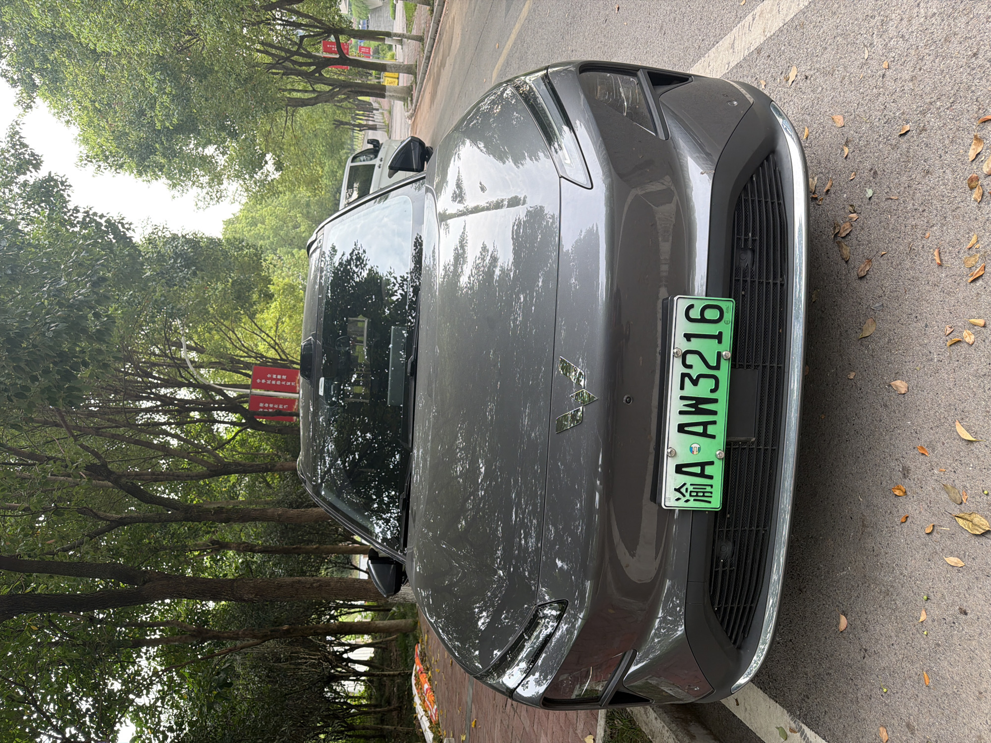 The image captures the front view of a dark gray Wuling electric vehicle parked on the right side of a paved road, lined with trees on both sides. The vehicle's license plate is green and reads "渝A AW3216". Red banners with Chinese characters are visible on the right side of the road, attached to poles among the trees. In the background, another white vehicle is partially visible. The ground is covered with fallen leaves, suggesting an autumn setting. The scene appears to be a quiet street in the city of Jiangjin, China.
