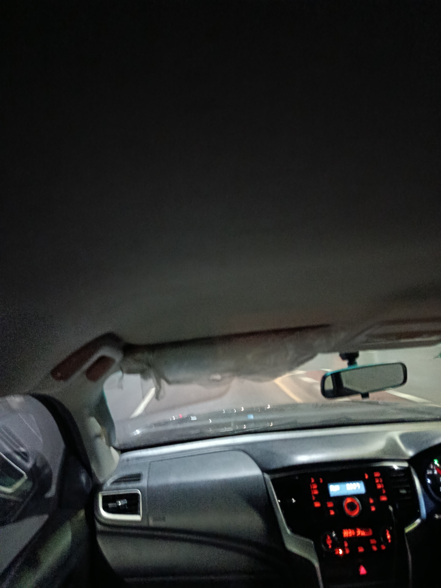 The image provides an interior view from the passenger seat of a car at night. The dashboard is visible, featuring a stereo system with illuminated red buttons and a blue display screen. A rearview mirror is mounted on the windshield, reflecting the road ahead. The sun visor is pulled down, partially obscuring the top of the windshield. The ambient lighting suggests the car is in motion on a road with illuminated markings and other vehicles visible in the distance, though they are out of focus. The overall impression is that of a car journey through a city at night, possibly on a highway or main road, given the visible road markings and the general urban ambiance.