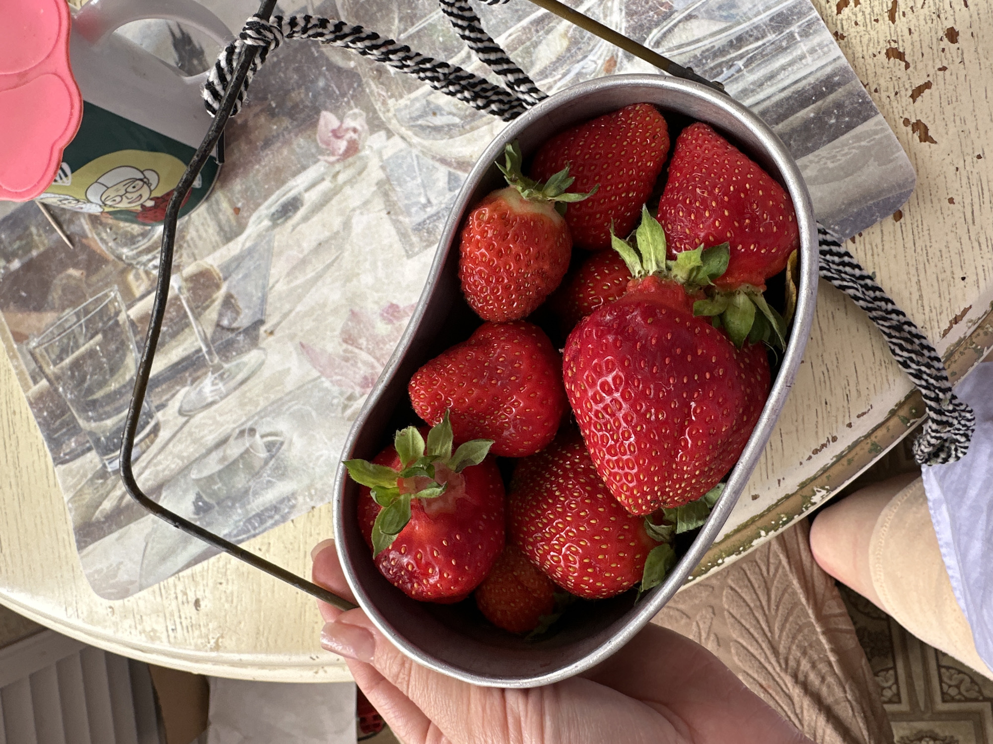 The image shows a close-up view of a metal container filled with fresh strawberries. A hand with manicured nails is holding the container. The container has a black and white rope handle. The strawberries are red and appear ripe, with green stems visible on some. The container is placed on a surface with a patterned overlay, possibly a tablecloth or placemat. In the background, a mug with a cartoon character and a pink lid is visible, along with other items on the surface. The overall setting suggests an outdoor or casual indoor environment, possibly a picnic or a meal. The location is identified as Yaroslavka, Russia, but no specific landmarks or contextual clues in the image support this location.