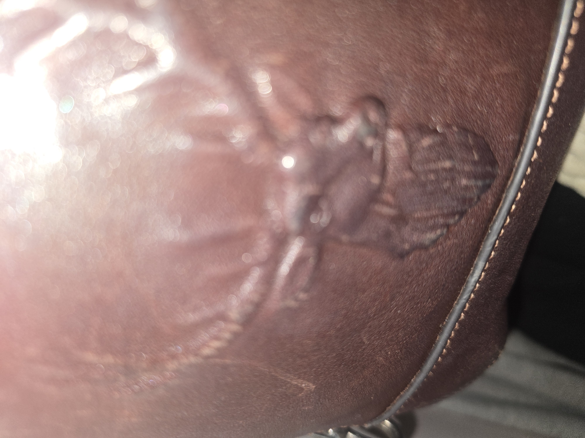 The image shows a close-up, slightly out-of-focus view of a brown leather surface, possibly a bag or upholstery. Embossed on the leather is the profile of a stag's head with antlers. The stag is facing to the left, with its mouth slightly open, revealing some detail of its teeth and beard. The texture of the leather is visible, with some creases and sheen from lighting. The bottom edge of the object shows stitching, indicating it is likely an accessory or piece of furniture. There are no people or any identifiable urban or natural environmental elements visible in the image, and therefore no information about its location in Ulan-Ude, Russia can be determined.