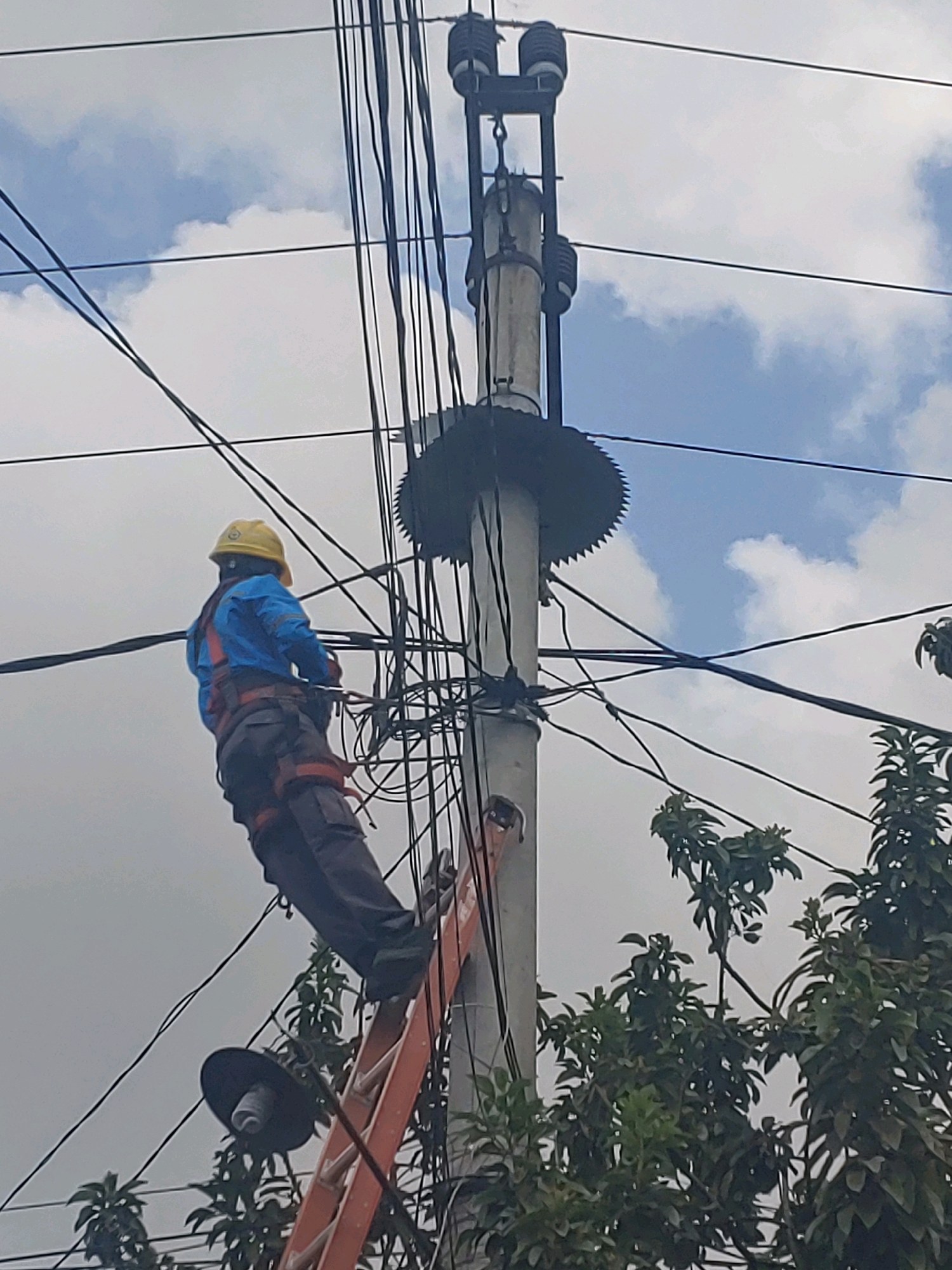 A person wearing a yellow hard hat and a blue shirt with gray pants and an orange harness is on an orange ladder, working on a utility pole in Kembang Kerang, Indonesia. The utility pole is made of concrete and has multiple wires attached to it, some of which are held by ceramic insulators. There are several dark, circular objects attached to the pole at different heights, and a serrated circular guard below the top insulators. The sky is cloudy with patches of blue. Green foliage from trees is visible in the foreground and to the right of the utility pole.