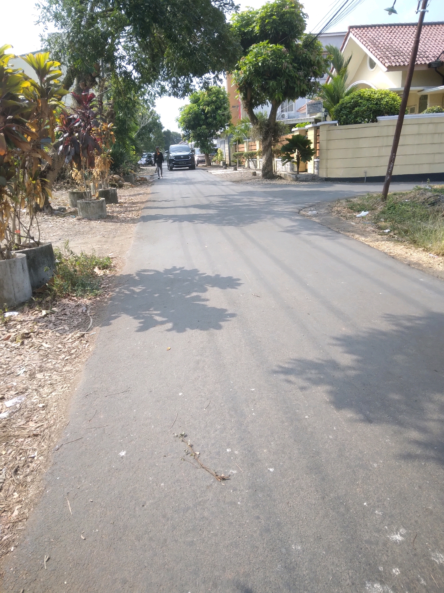 The image depicts a street scene in Desa Pamijen, Kecamatan Sokaraja, Indonesia, under a clear, sunny sky. The asphalt road stretches into the distance, flanked by a dry, leaf-strewn embankment on the left and a grassy verge on the right. Several concrete planters with dry vegetation are positioned along the left side of the road. On the right side of the road, a cream-colored wall encloses a property with a tiled roof and lush green bushes. A utility pole with a lamp stands near the wall.
In the mid-ground of the image, a dark-colored SUV is parked on the right side of the road, and a person wearing dark clothing and a light-colored shirt is walking away from the camera on the left side of the road. Further down the road, more vehicles are visible, and trees with dense green foliage cast shadows across the asphalt. The overall impression is a quiet, residential street in a tropical or subtropical climate.