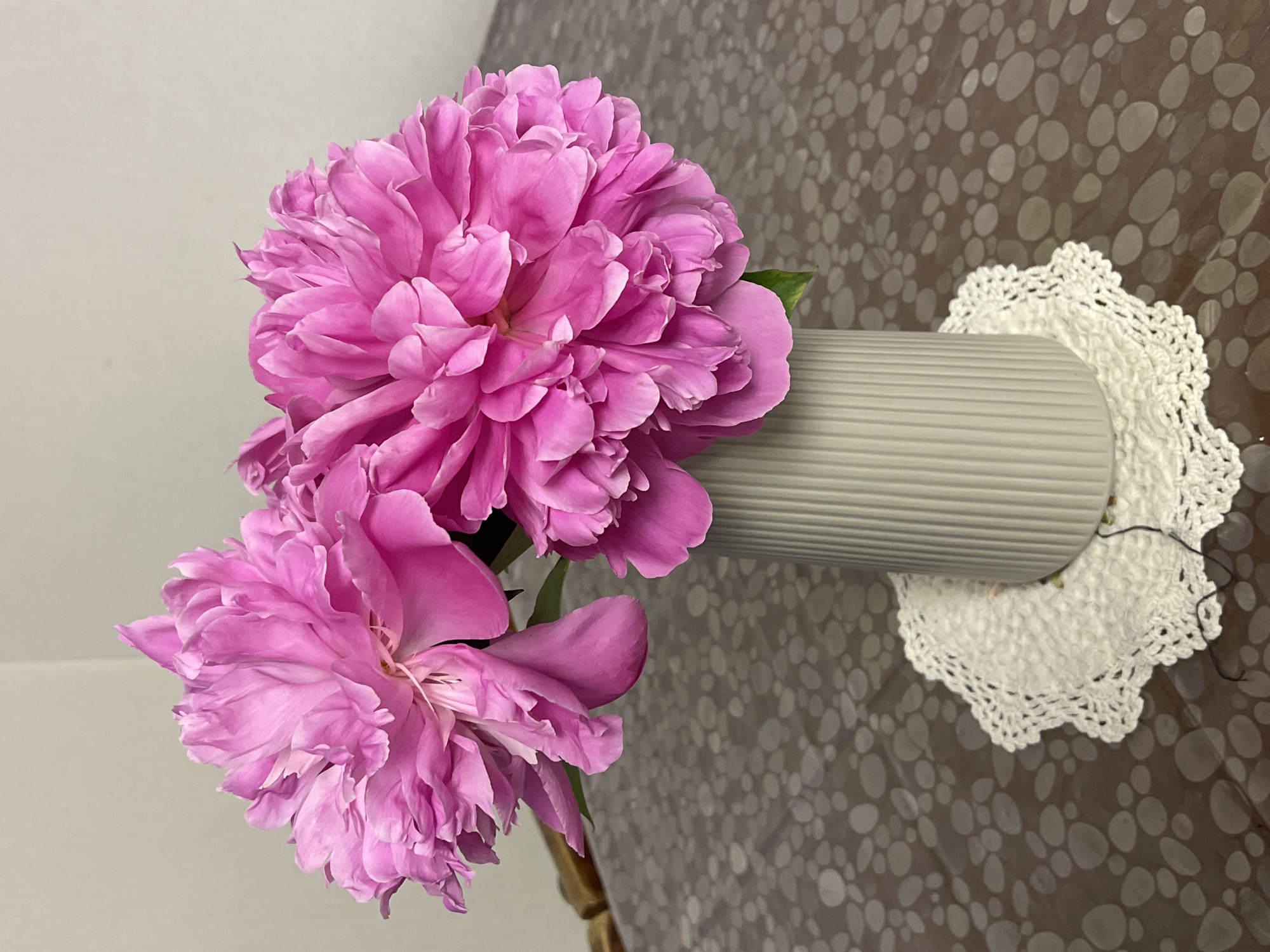 A bouquet of two pink peonies sits in a grey ribbed vase on a surface covered with a brown pattern of oval shapes. A white crocheted doily is beneath the vase. The location is Donskoye, Russia. The scene is brightly lit.