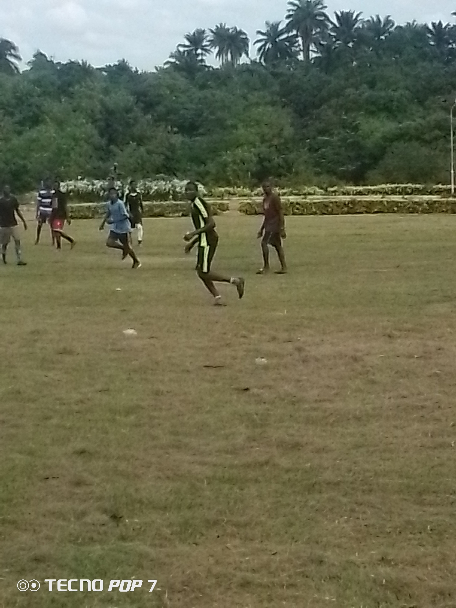 The image depicts an outdoor scene on a grassy field, likely in Eleweran, Nigeria, as suggested by the embedded text "TECNO POP 7". A group of individuals, appearing to be young men, are engaged in what seems to be a casual game of football. One person in the foreground is mid-stride, wearing a green and black athletic outfit. Other figures are visible in the background, some in athletic wear and others in casual clothing, scattered across the field. The environment is characterized by lush green vegetation forming a dense backdrop, with palm trees visible on a slightly elevated area. The sky is overcast, suggesting a cloudy day. The overall impression is one of informal sporting activity in a natural, semi-urban setting.