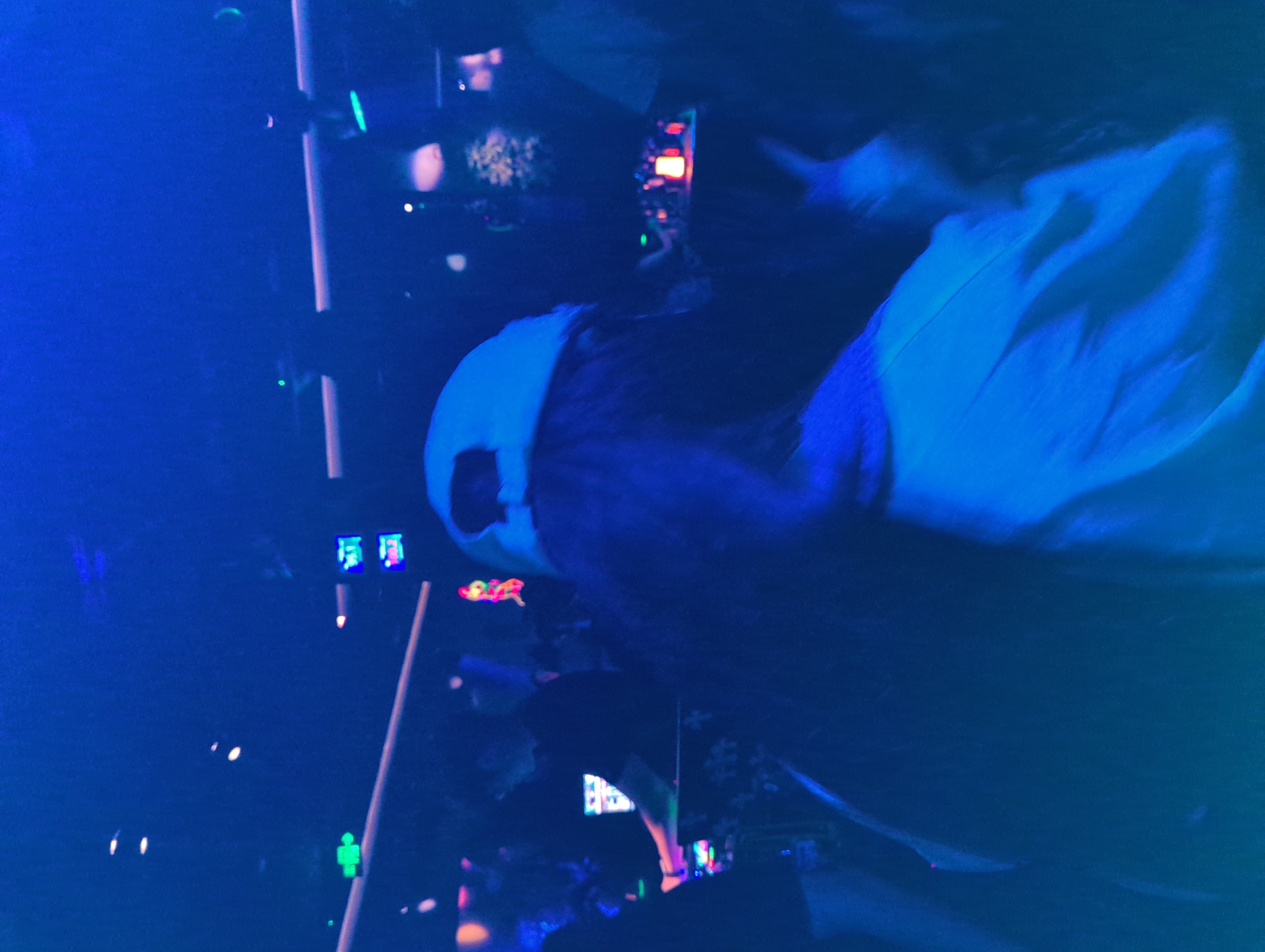 The image depicts a person wearing a white hat in a dimly lit room with blue lighting. There are various light fixtures and screens displaying colorful patterns visible in the background. The person's face is partially obscured by the hat. There is no information in the image to confirm that it was taken in Liangjiang, China.