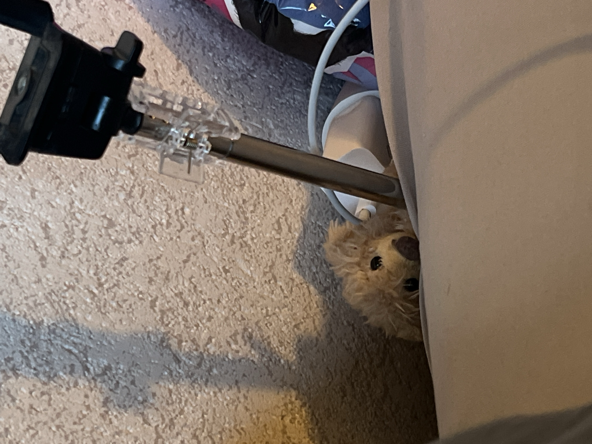 The image shows a close-up view of a stuffed animal peeking out from behind a metallic pole. The stuffed animal is light brown and appears to be a dog. It has black eyes and a brown nose. The pole is silver and has a black clamp at the top. The background is a textured wall, possibly a stucco finish, in a neutral color. There is also a hint of fabric in the background, which is multi-colored with patterns. The lighting suggests an indoor environment. The overall scene is casual and likely domestic. The image does not contain enough information to determine a specific location in Genemuiden, Netherlands.