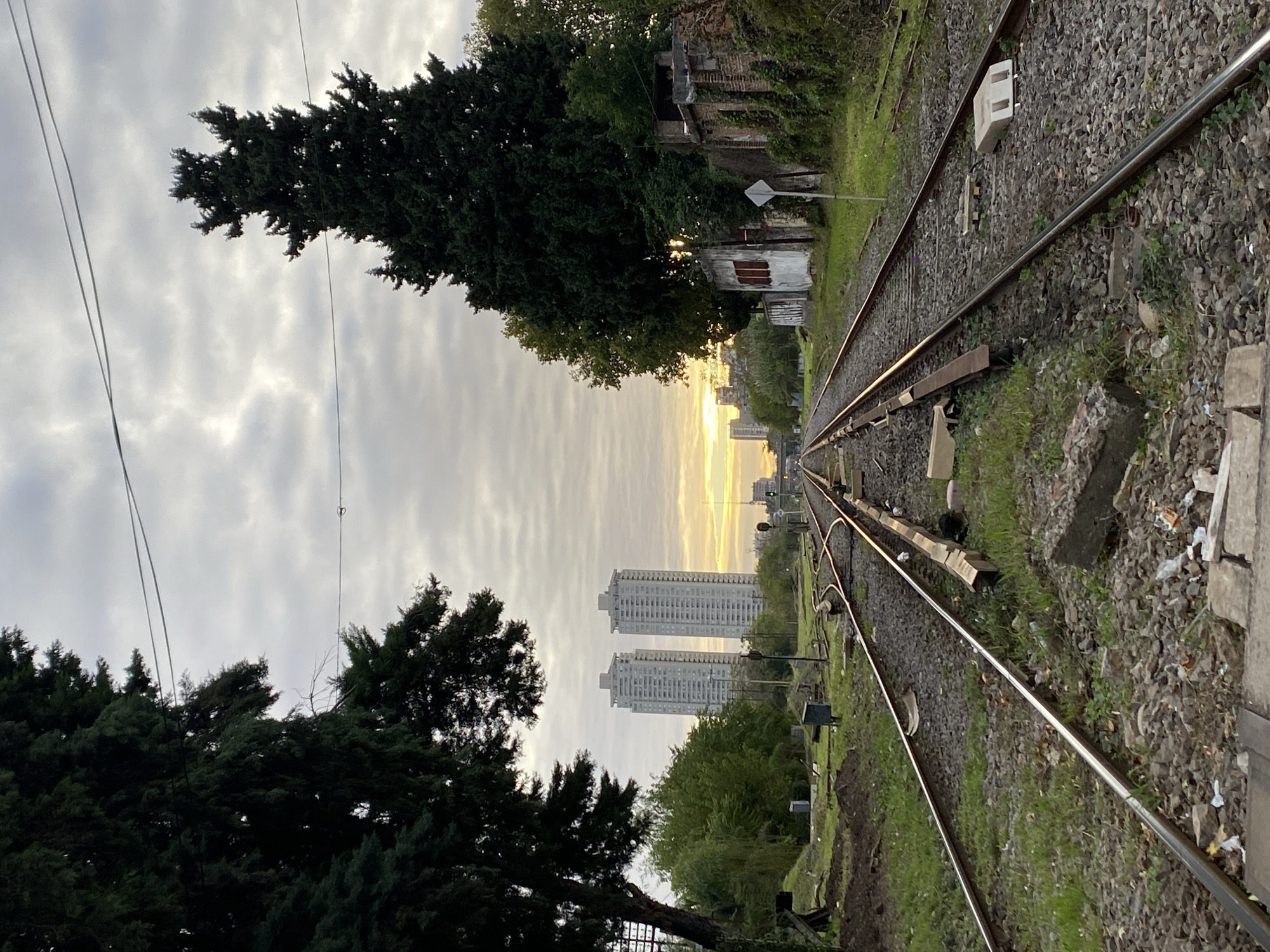 This image depicts a tranquil railway scene in Buenos Aires, Argentina, captured during either sunrise or sunset. The perspective looks down parallel railway tracks that recede into the distance, guiding the eye towards a soft, glowing horizon. The image is taken at ground level, emphasizing the tracks and their immediate surroundings.
In the foreground and midground, two sets of railway tracks are laid on a bed of dark gravel ballast, interspersed with patches of vibrant green grass and weeds. Various concrete blocks or railway sleepers are scattered along the tracks, some appearing old and worn. There is also some visible litter, including plastic debris, suggesting a somewhat neglected area.
To the left of the tracks, a dense line of dark green trees, including tall, bushy conifers, forms a natural barrier against the cloudy sky. Overhead, electrical wires stretch across the frame. To the right, more trees and overgrown foliage partially obscure derelict buildings, characterized by crumbling brickwork and weathered white walls. A white, diamond-shaped sign, illegible from this distance, is visible among the vegetation.
In the background, two prominent, light-colored high-rise apartment buildings stand tall against the horizon, signifying an urban environment. The sky above is largely overcast with soft, grey clouds, but a warm, golden light from the low-lying sun breaks through at the horizon directly behind the buildings, casting a soft glow.
No activity is taking place; the tracks are empty, and no people are visible. The scene conveys a sense of stillness and contemplation, blending natural elements with urban and industrial infrastructure. No discernible text is visible on any objects or signs within the frame.