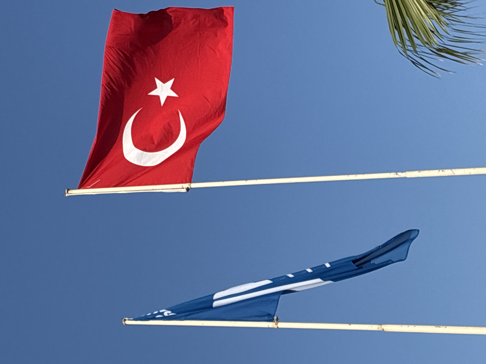 Two flags are flying against a clear blue sky. The flag on the right is the flag of Turkey, which is red with a white crescent moon and star. The flag on the left is blue with white stripes. Both flags are attached to poles. A frond from a palm tree is visible in the lower right corner of the image. The scene appears to be in Alanya, Turkey, based on the presence of the Turkish flag.