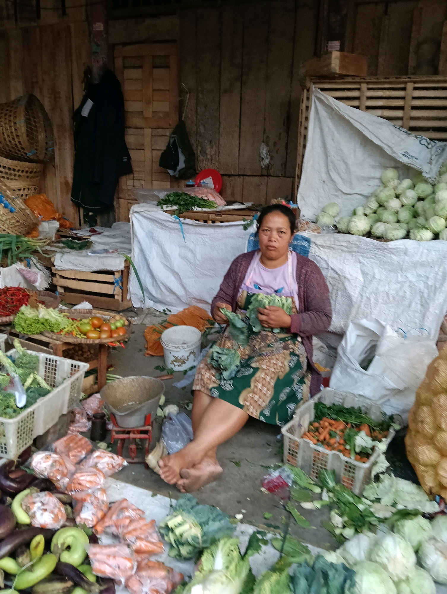 A woman sits on the ground in front of a stall in Magelang, Indonesia, sorting through a bunch of leafy green vegetables. She is wearing a purple cardigan over a pink shirt and a green and brown patterned skirt. The stall is cluttered with produce, including cabbages, carrots, tomatoes, chilies, and eggplants, displayed in baskets and on the ground. Behind the woman, a large pile of cabbages is covered by a white tarp. The stall appears to be made of wood and is open to the elements. The ground is dirt and appears to be wet. The lighting is dim, suggesting it may be early morning or late afternoon.