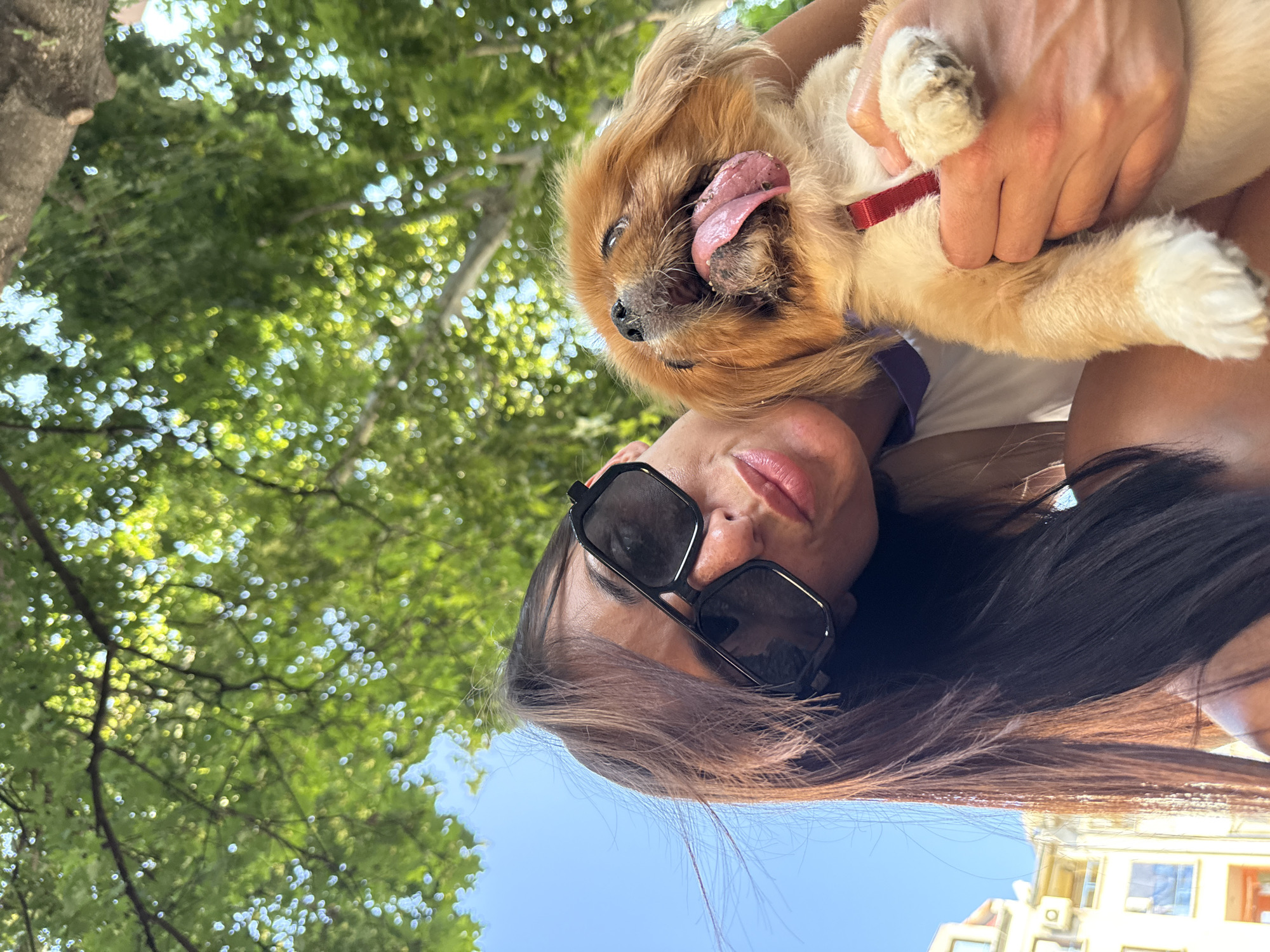 In a selfie taken outdoors in the city of Pleven, Bulgaria, a woman with long brown hair and sunglasses is holding a small, tan-colored dog. The dog, with its tongue hanging out, appears to be panting. The woman is wearing a white top. In the background, out-of-focus trees with green leaves and a clear blue sky are visible. To the left, the upper floors of a building with windows can be seen. The perspective is looking up from below.