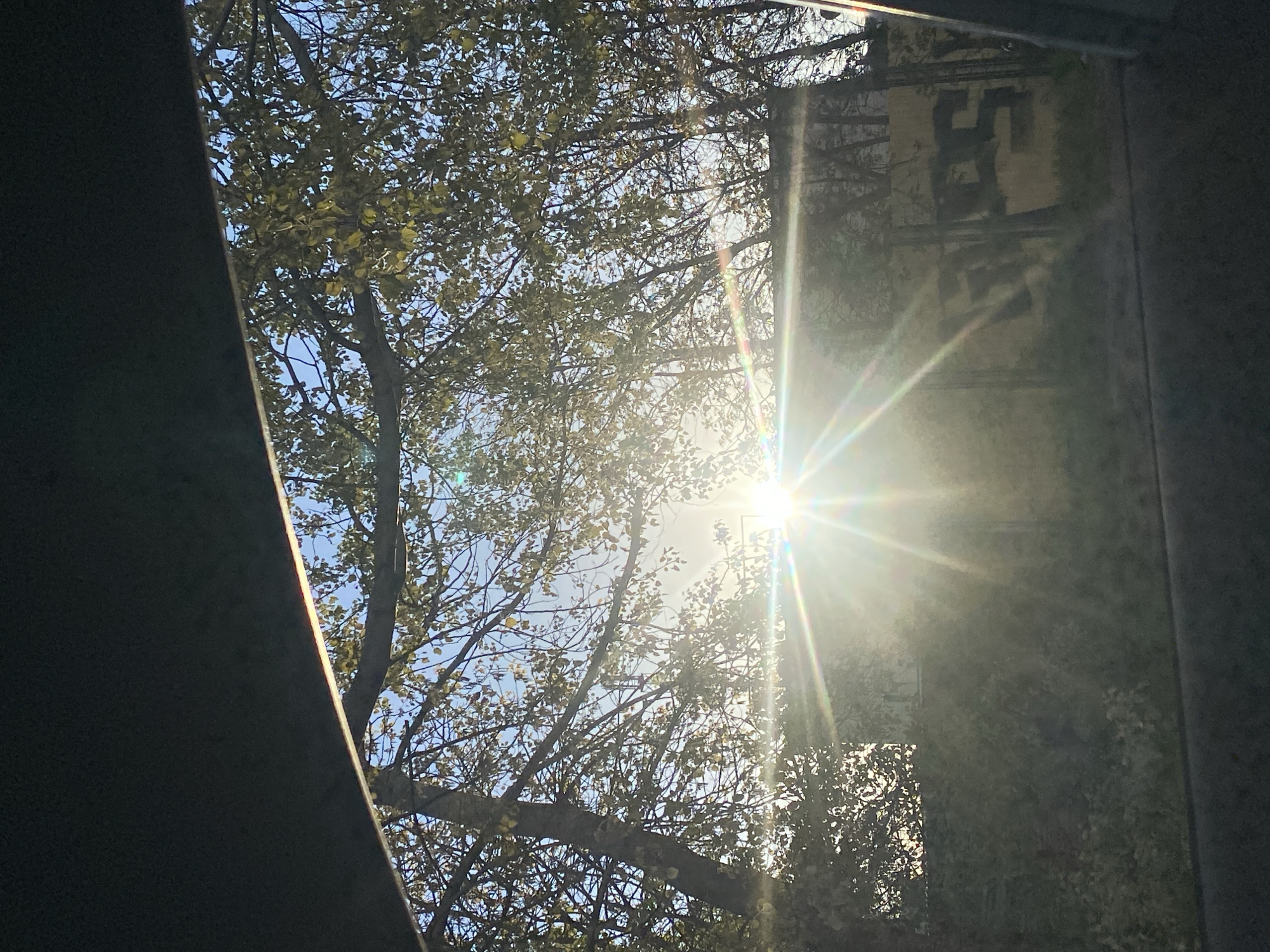 The image captures a bright outdoor scene viewed through a dark frame, possibly a window or an opening. The dominant subjects are lush trees with numerous light green leaves, filling the upper and central parts of the frame. The sky, visible between the branches, is a clear light blue.
The most striking feature is the sun, positioned in the upper right-center, emitting intense, bright rays of light that create a prominent star-shaped lens flare. This flare exhibits a rainbow-like chromatic aberration, particularly visible in the upper right quadrant and extending downwards. The sunlight casts bright areas and deep shadows, highlighting the intricate network of tree branches.
On the left and right sides, dark, solid structures form a border, suggesting the perspective is from behind an obstruction or within an enclosed space looking outwards. The left structure is a dark, angled surface, while the right side appears to be a more vertical, darker surface.
Through the sun's glare on the right, a faint, reflective surface can be discerned in the background. This surface contains indistinct, faded shapes, which could be interpreted as weathered graffiti or a partially obscured sign. One shape vaguely resembles a block letter, possibly an "H" or "B," but it is not clearly legible.
The time of day appears to be sunny daytime, with clear weather conditions. There is no discernible activity or specific events taking place, only the static view of the trees and sun. The general impression is one of natural light and foliage seen from an obscured vantage point.