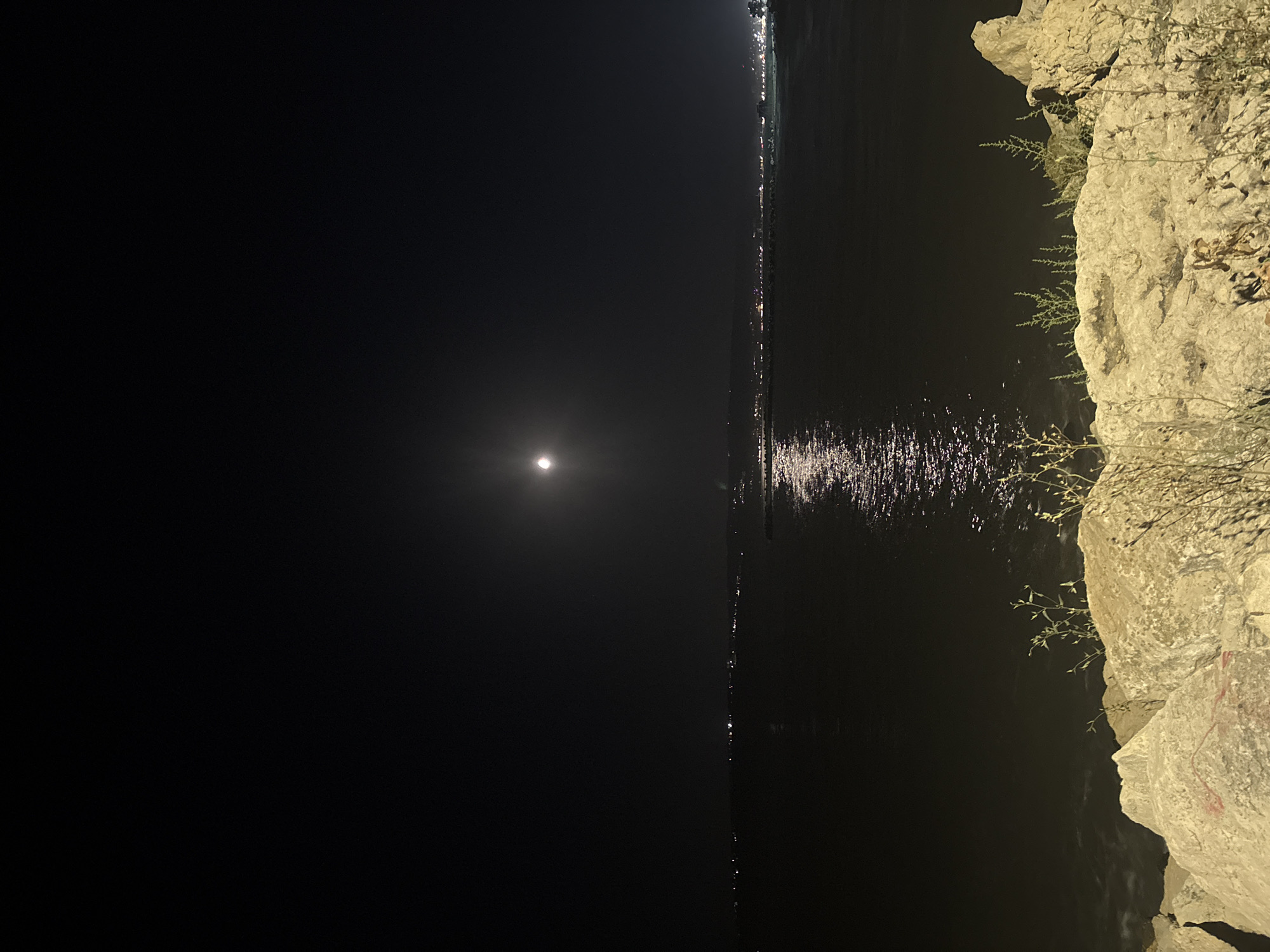 A nighttime, long-shot, eye-level, horizontal, wide-angle photograph depicts a dark, starless sky with a luminous full moon at the upper center. The moon casts a shimmering, reflective path across a vast, dark body of water. Along the distant horizon, a city skyline is visible, marked by a dense scattering of tiny, illuminated lights, suggesting a populated area. The foreground is dominated by large, rough, light-colored rocks, some with faint red markings. Sparse, dry vegetation grows amongst the rocks. The sea is dark and still, with a gentle swell visible in the foreground rocks.