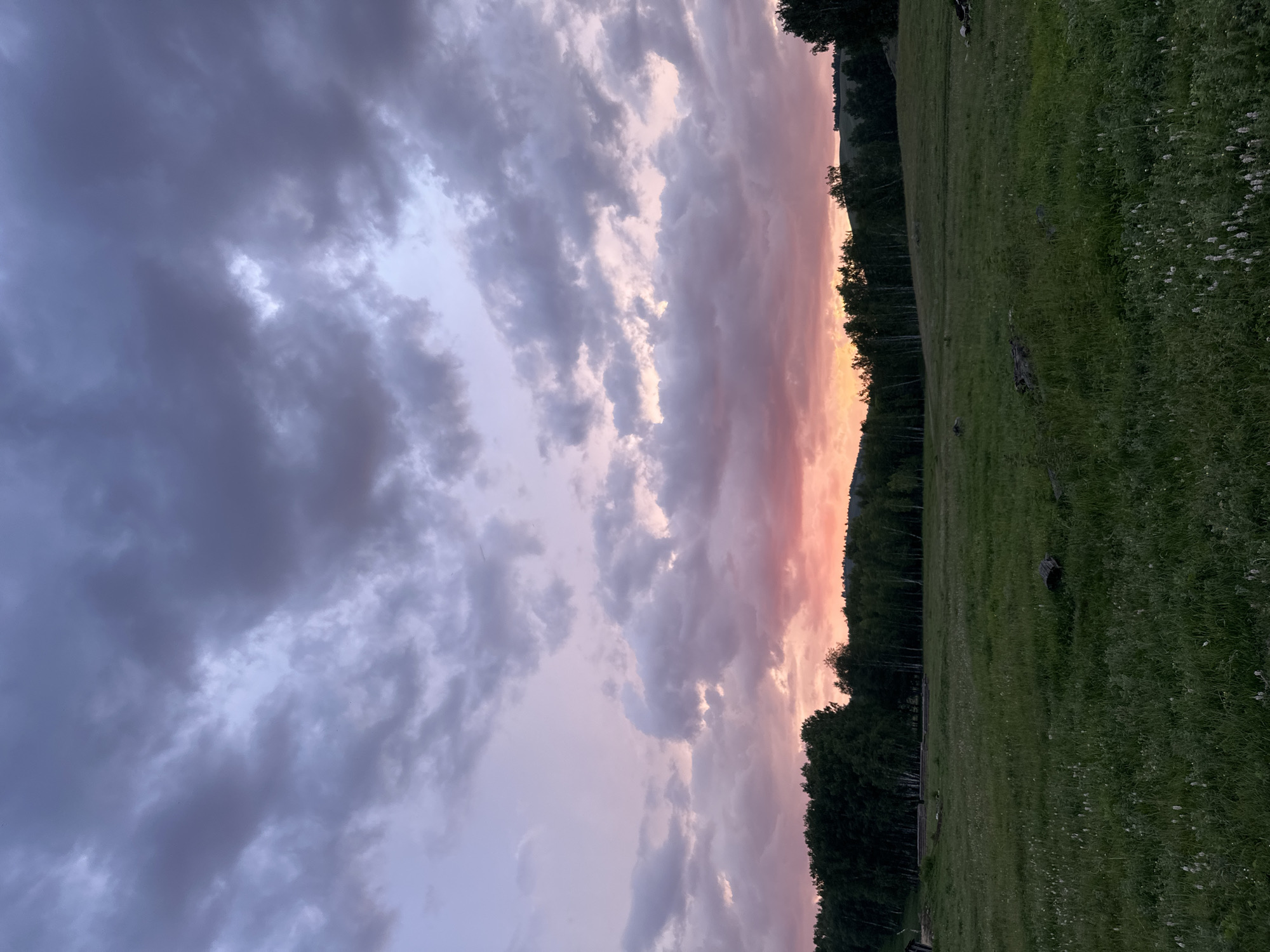 The image depicts a landscape scene at dusk, with a dramatic sky filled with clouds. The sky transitions from dark gray clouds on the left to softer pink and orange hues on the right, suggesting the setting sun. A dense line of dark green trees borders the right side of the image, separating the sky from a grassy field. The field is covered in lush green grass with scattered white wildflowers. There are a few fallen logs or stumps visible in the field. The overall mood of the image is serene and peaceful, capturing the beauty of twilight. The orientation of the image is landscape, but it is displayed vertically.