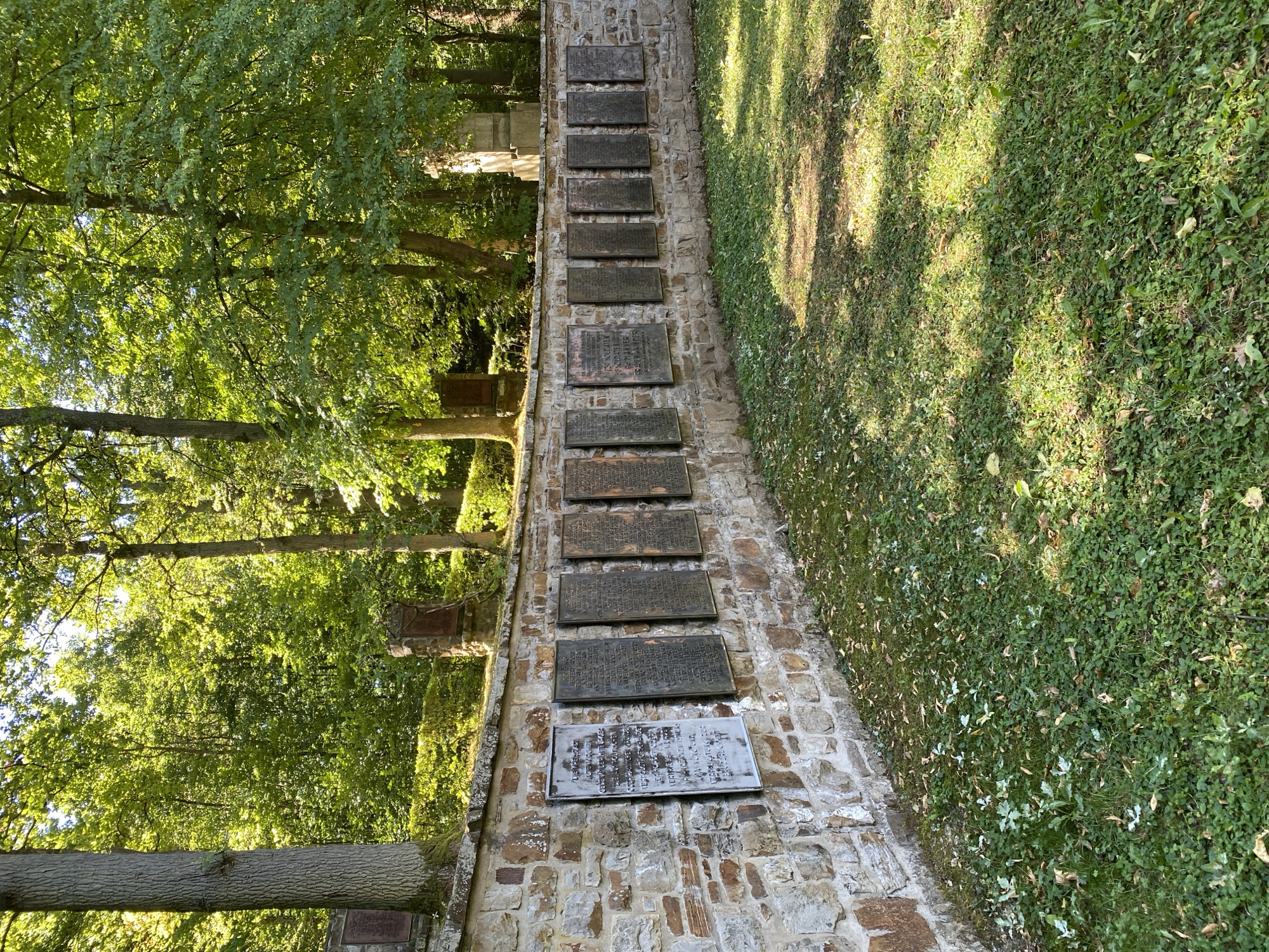 The image shows a curved stone wall with several bronze plaques attached to it. The wall is made of rough-hewn stones in various shades of brown and grey. The bronze plaques are rectangular and appear to contain inscriptions. They are mounted at regular intervals along the wall. The wall is set against a backdrop of lush green trees, suggesting an outdoor, possibly park-like or cemetery setting. Sunlight filters through the leaves of the trees, casting dappled shadows on the grass in front of the wall. The grass is green and appears to be covered with fallen leaves. The overall scene conveys a sense of solemnity and remembrance.
This memorial wall is located in the city of Altenkirchen, Germany, specifically at the Altenkirchen war cemetery (Kriegsgräberstätte Altenkirchen). The plaques are a memorial to soldiers and civilians who died during wartime.