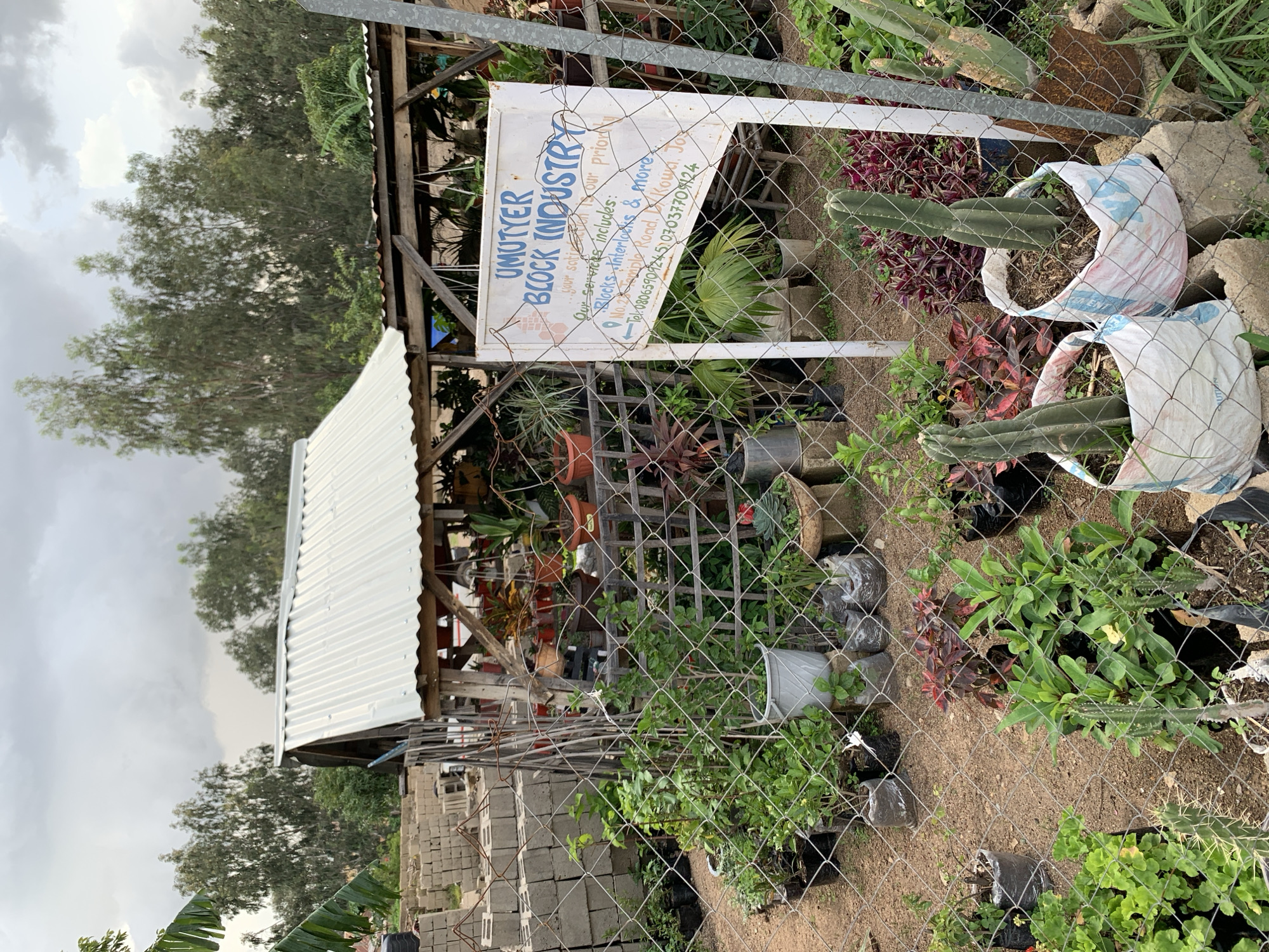 The image depicts an outdoor scene in Jos, Nigeria, focusing on a small business named UMTYER BLOCK INDUSTRY. A white sign with blue and red lettering is prominently displayed behind a wire mesh fence. The sign lists the business's services, which include blocks and interlocks, and provides a mobile phone number for contact. The business appears to be a block manufacturing and sales operation, with stacks of grey concrete blocks visible in the background.
The foreground and middle ground are filled with a variety of potted plants and young trees, some in black plastic bags and others in more decorative pots. These plants are arranged in front of the fence and extend towards the building. The building itself is a simple structure with a corrugated metal roof, supported by wooden beams, and appears to be an open-air workshop or storage area for the blocks and plants. The ground is a mix of dirt and gravel. The overall atmosphere suggests a small, local business operating in an urban or semi-urban environment. The sky is overcast, indicating a cloudy day. There are no people visible in the image.