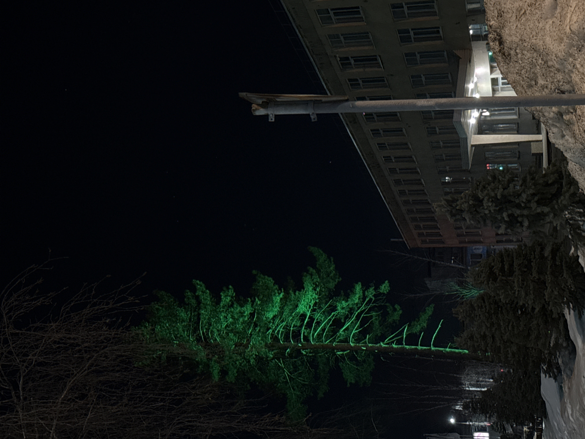 This nighttime image depicts a winter scene in Chaikovsky, Russia. A tall, bare-branched deciduous tree occupies the upper left, partially obscuring a brightly illuminated conifer tree below it, which glows vivid green. In the mid-ground, a multi-story building with numerous windows extends horizontally from the center to the right. The building's entrance features an illuminated overhang with several lights. A light-colored pole, possibly supporting a sign, stands in the foreground on the right, partially obstructing the view of the building. The ground is covered in snow, forming a mound in the lower right foreground. Several smaller coniferous trees are visible in the lower left, also covered in snow. The sky is dark, indicating night. No individuals are present, and no overt actions or interactions are depicted.