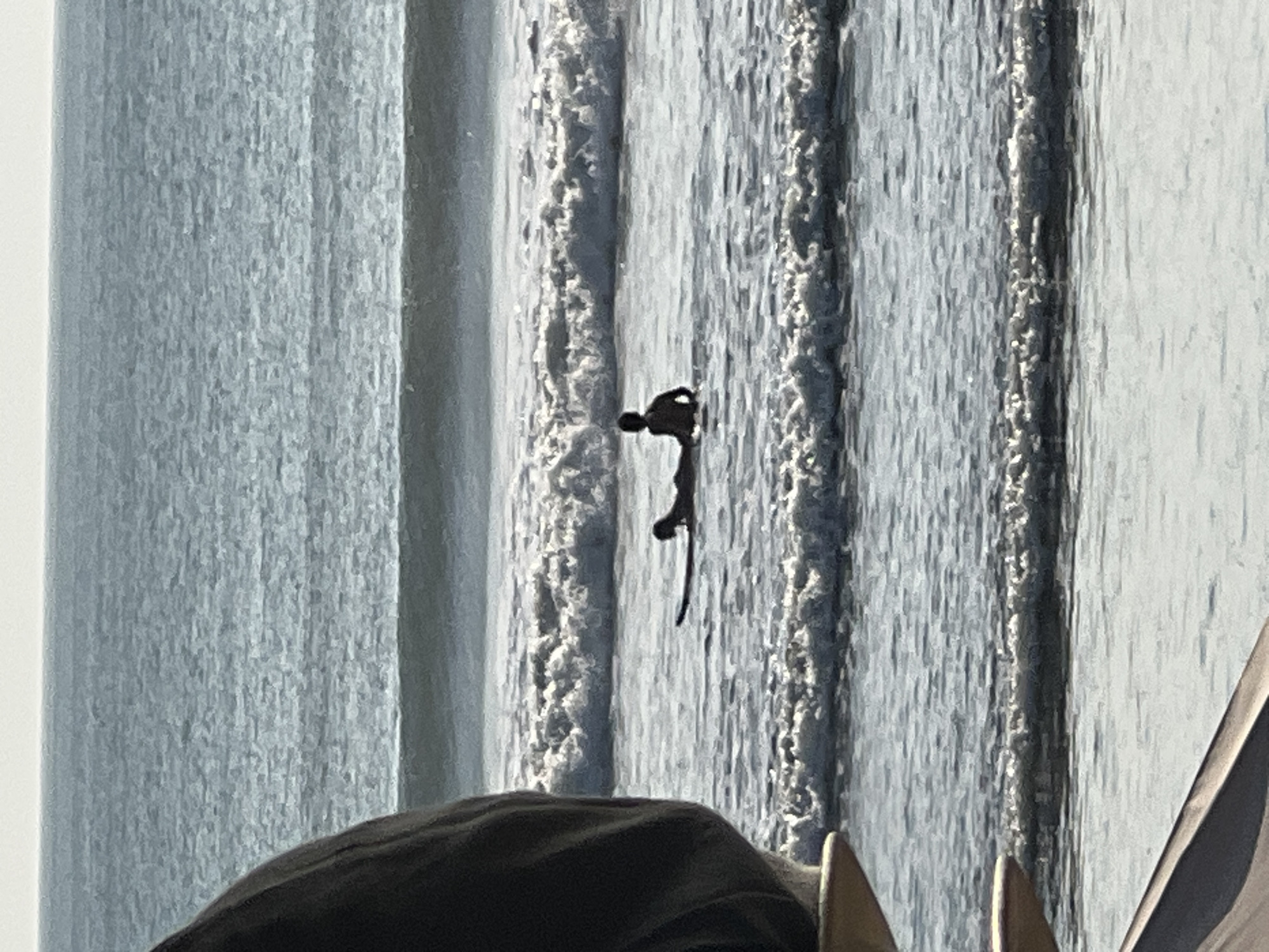 In Kuta, Indonesia, two figures are positioned on surfboards in the ocean. One individual, silhouetted against the bright water, is seated on a surfboard. Another person, also silhouetted, is lying prone on a surfboard in front of the seated figure, with their head and torso visible. The ocean displays a series of parallel waves, with white foam cresting on some. The sky is a light, overcast gray. The foreground includes a blurred element of a dark fabric object and the edge of a light-colored surface, suggesting a view from a beach or structure.