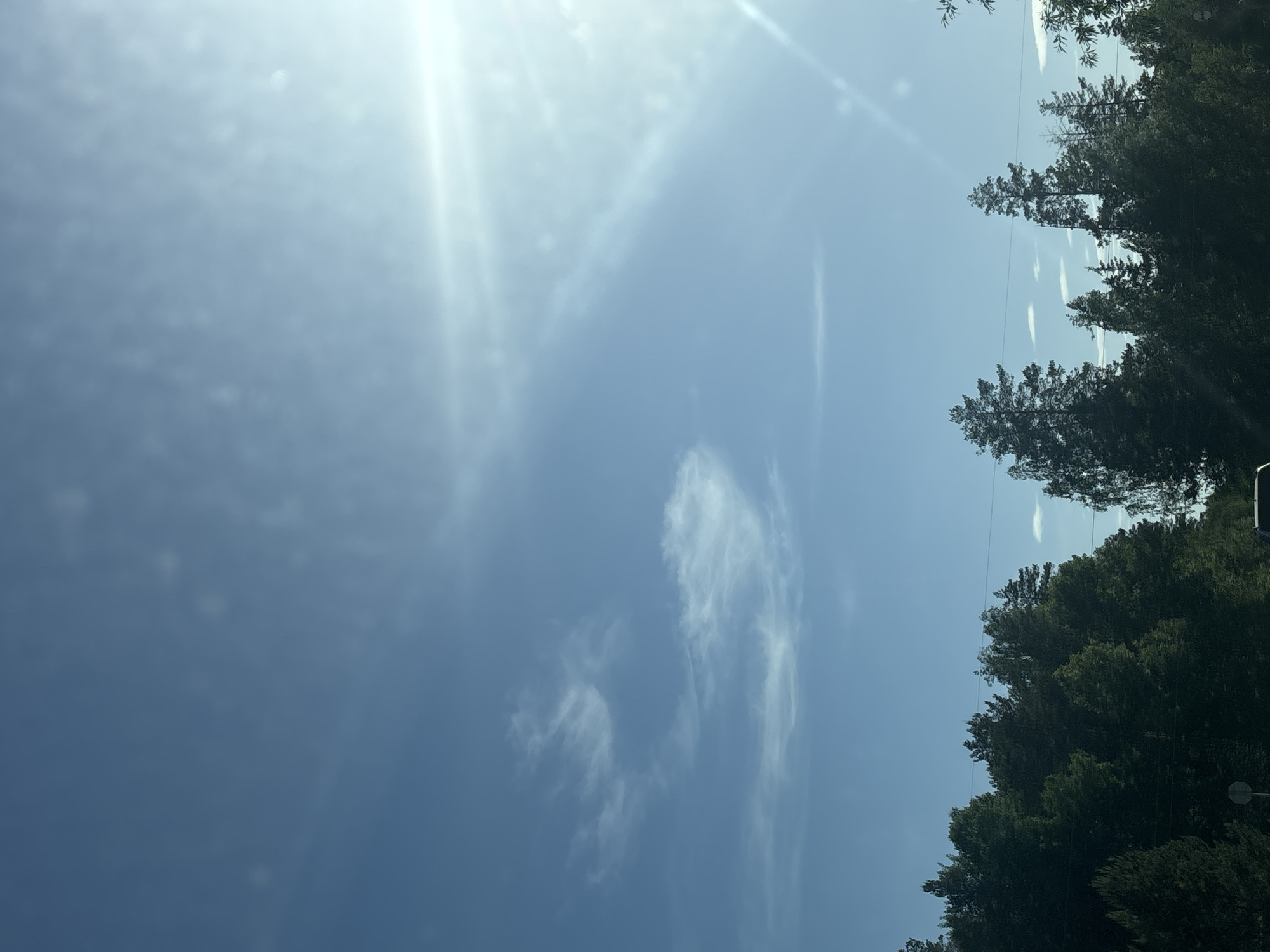 The image shows a daytime view of a light blue sky with bright sunlight. Wispy clouds are scattered across the sky. Green trees occupy the right side of the image frame. Utility lines are visible among the trees. The location is not specified.