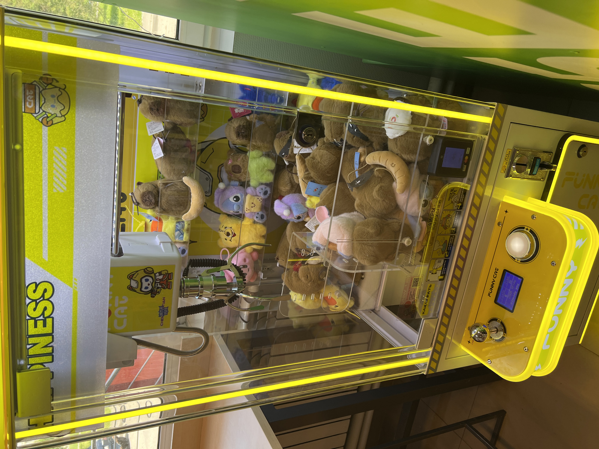 A yellow and white "FUNNY CAT" claw machine, prominently labeled "HAPPINESS" across its top banner, is positioned indoors in Izhevsk, Russia. The machine's transparent acrylic enclosure is filled with numerous plush toys, predominantly small, brown, furry animals resembling capybaras, many of which bear white tags. Other identifiable plush characters include a purple Stitch-like figure, a yellow Winnie the Pooh-like character, a pink pig, a yellow and orange animal, and a crescent moon-shaped pillow. A four-pronged metallic claw mechanism hangs empty above the plush toy collection.
The control panel, located at the bottom front, is yellow and features a silver joystick with a clear ball top on the left and a large, circular white push-button on the right. A small blue LCD screen between these controls displays "FUNNY CAT," "Plays: 1," "8," "20CN 1 play," and "Already pay." A metallic coin slot on the machine's lower right side clearly indicates the cost in Russian: "ИГРА 20 РУБЛЕЙ" (Game 20 Rubles), with "INSERT COIN" also visible.
The machine is internally illuminated by vertical yellow LED strips. Reflections on the glass casing reveal elements of the surrounding environment, including a window on the left showing distant trees and a road, a light-colored table, and the leg of a dark chair. A solid green wall or partition is visible to the right of the machine. No people are present in the scene.