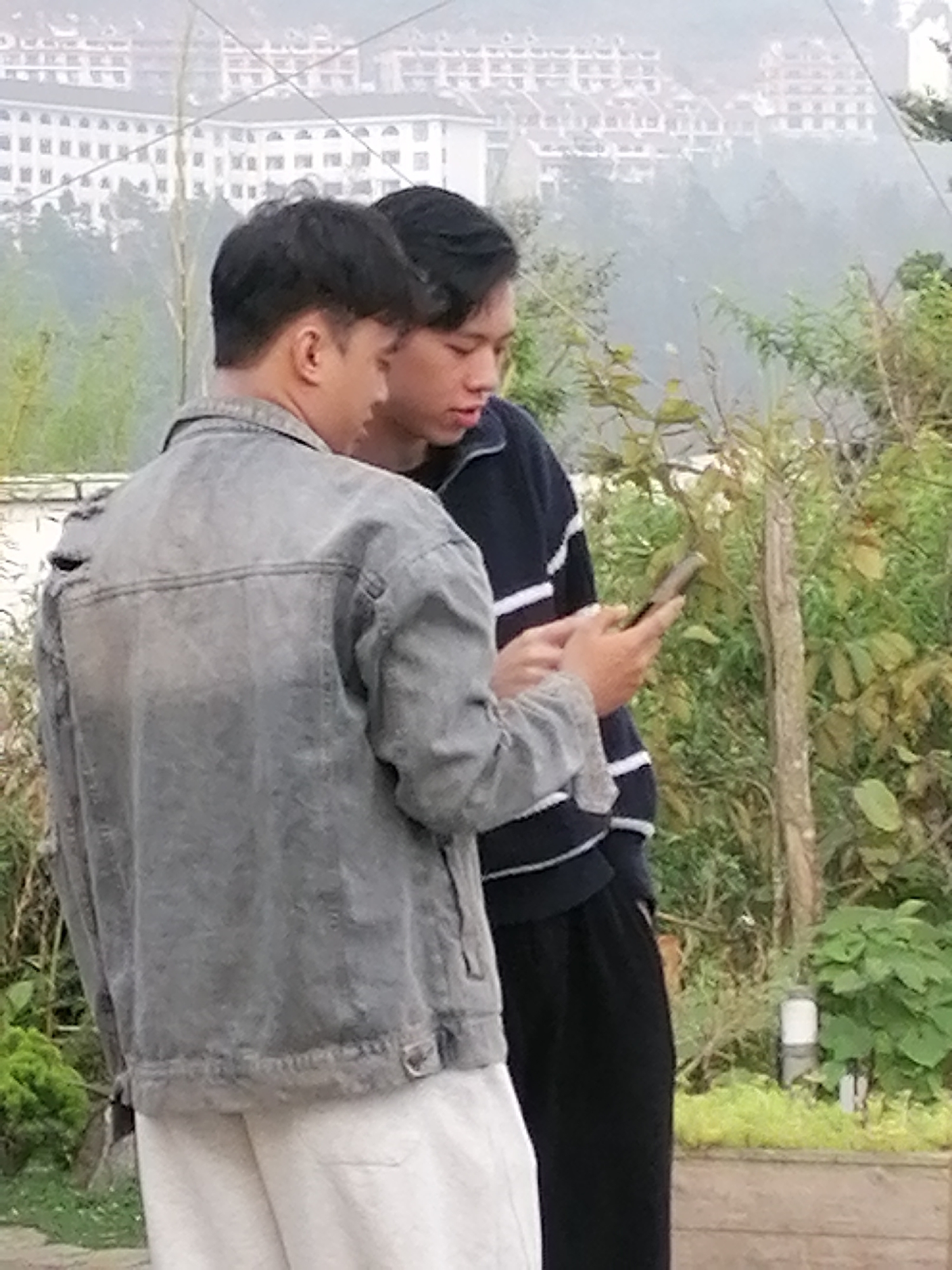 Memory