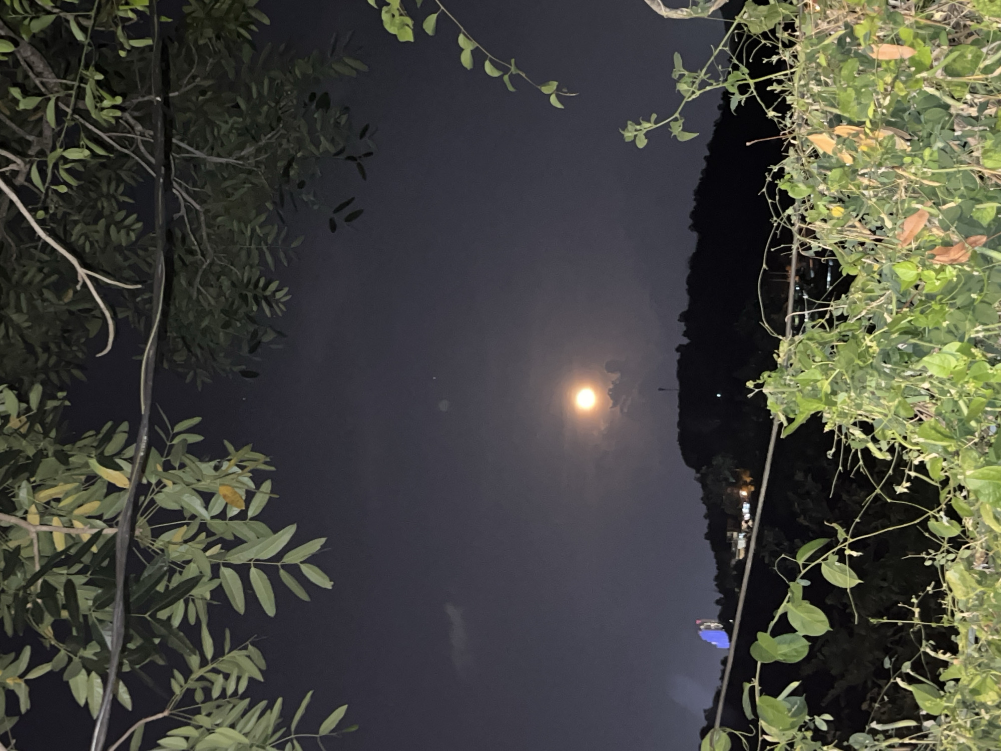 The image shows a night scene in Bac Nha Trang Ward, Vietnam. The sky is dark with a full moon visible. Trees and foliage frame the image on both sides. A dark, mountainous area is visible on the right, with some faint lights suggesting a settlement or road. Power lines are visible on the left. The vegetation appears lush. The image composition focuses on the moon and the surrounding natural elements.