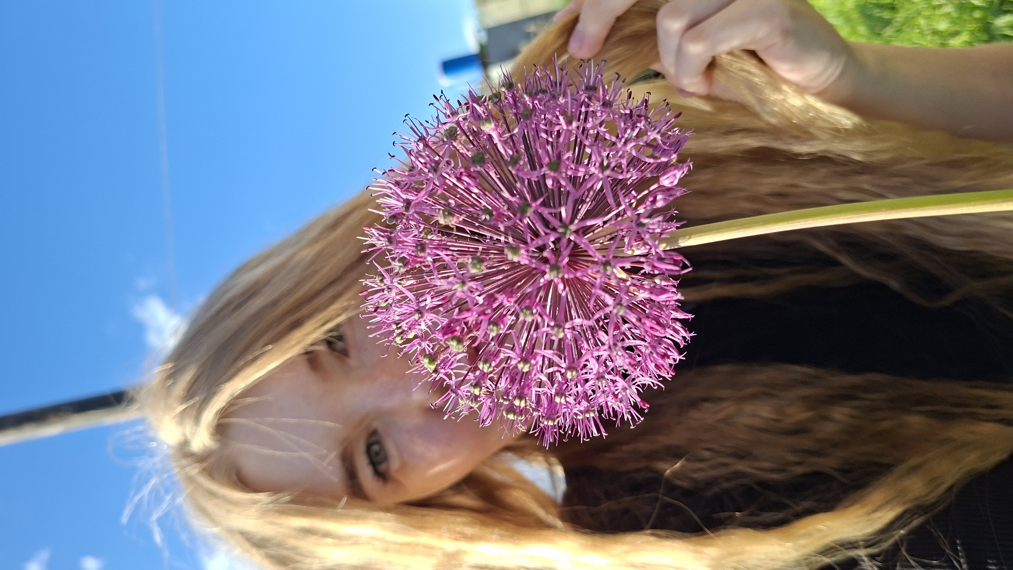 A close-up shot, rotated counter-clockwise, features a woman's face behind a large, round, purple allium flower, set against a bright blue sky. The woman has light blond hair, and her face is partially obscured by the flower, but her eyes are visible. She is looking towards the camera. She has fair skin and wears a white top. Her left hand holds her hair. The purple allium flower is in sharp focus. The flower has a round shape, composed of many tiny purple flowers, creating a spherical structure. The flower's stem is visible. The background includes a bright blue sky with faint white clouds. A metallic pole or pipe is visible on the left side of the image. The location is Большой Букор, Russia.