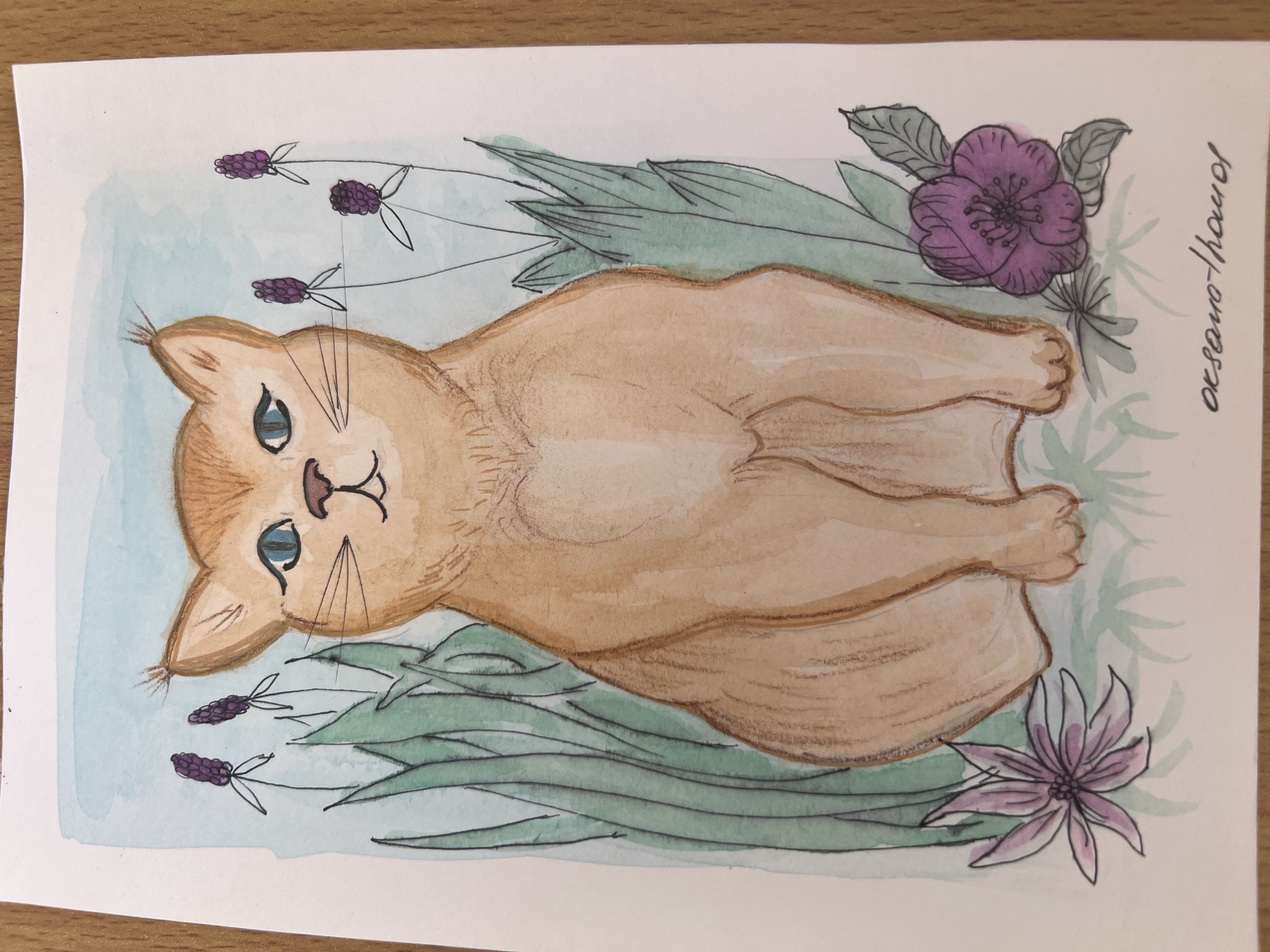 A watercolor painting depicts a ginger-colored cat lying on its back among stylized foliage and flowers. The cat is rendered in shades of tan and brown, with blue eyes, black whiskers, and a simplified facial expression. The background features a pale blue wash, with stylized green leaves and purple flowers surrounding the cat. The flowers include lavender sprigs. The painting is signed "oxoño-thomas" in the upper right corner. There is no evidence the image was taken in Baošići, Montenegro.