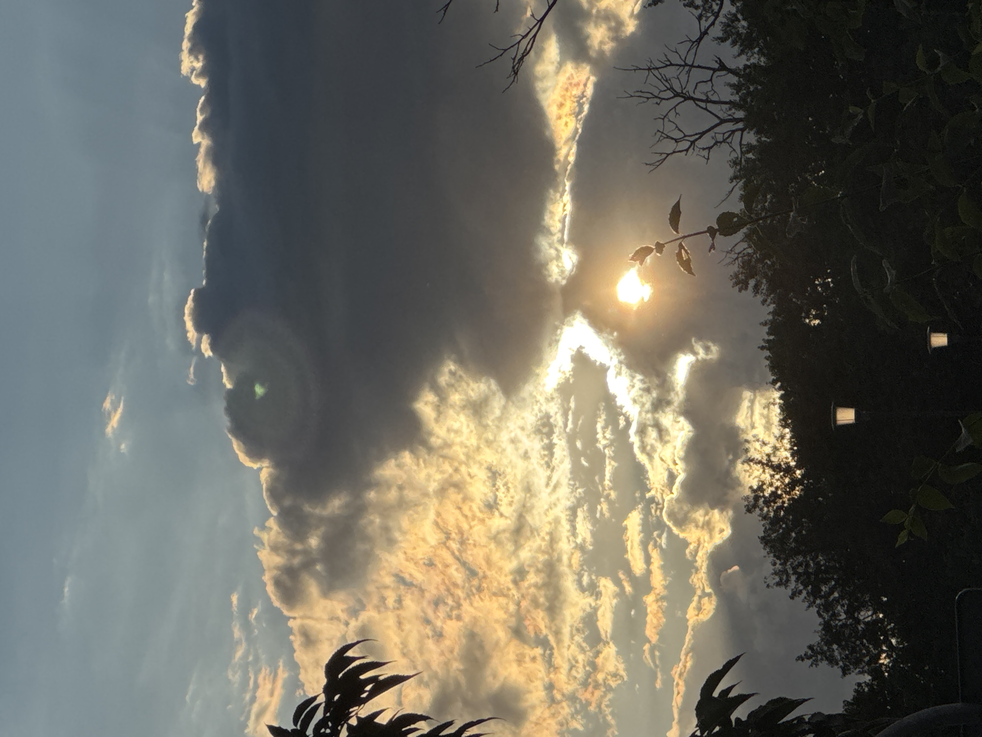 This is a vertical, medium shot of a sunset over the city of Plovdiv, Bulgaria. The sky is filled with dramatic clouds, some dark and ominous, others illuminated by the setting sun with golden and orange hues. The sun itself is a bright, concentrated orb peaking through a gap in the clouds. Silhouettes of trees and foliage are visible in the foreground and at the bottom of the frame, with the dark shapes of branches and leaves contrasting against the bright sky. A single lamppost with a warm light is visible among the trees on the right side of the image. The overall atmosphere is one of a dramatic and beautiful natural display within an urban environment.