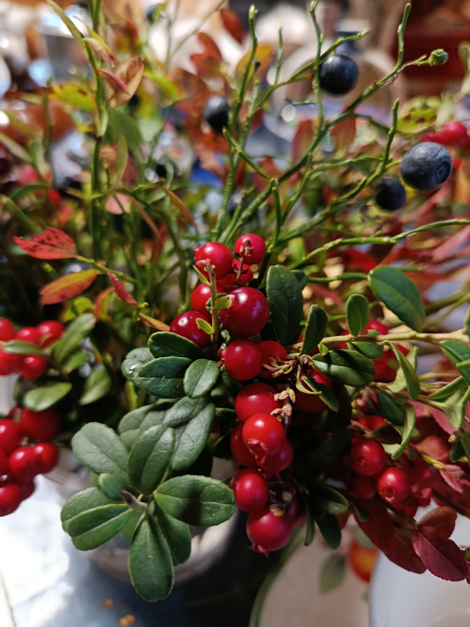 A close-up shot focuses on a bouquet of forest berries and leaves, predominantly featuring bright red lingonberries and dark blue blueberries. The berries are clustered on slender green stems adorned with small, dark green, leathery leaves. Some leaves show a transition to autumnal red and brown hues. The background is softly blurred, suggesting an indoor setting with hints of light reflections and other objects, but no specific details of the surroundings are discernible. The lighting is natural and bright, highlighting the textures and colors of the foliage and berries.