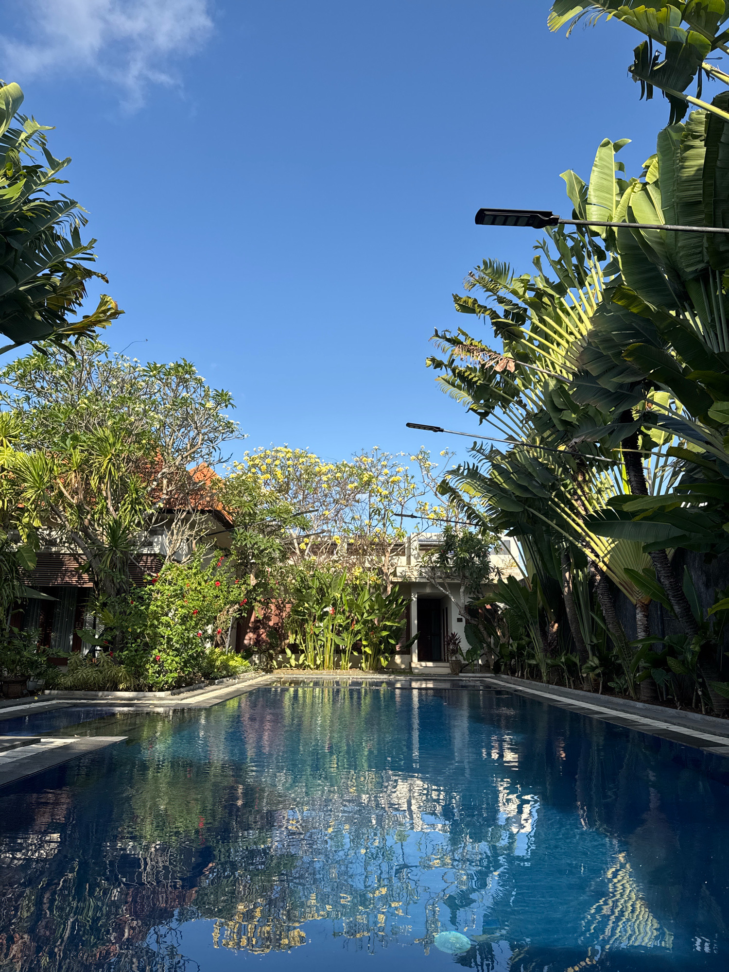 This is a medium shot, vertical image of an outdoor swimming pool in Denpasar, Indonesia. The pool is rectangular and filled with blue water that reflects the surrounding environment. The water is clear and appears still, with ripples visible on the surface. The pool is bordered by a darker tile and a grey concrete edge.
The background features lush tropical vegetation, including large palm-like trees with broad leaves and other smaller plants with vibrant green foliage. A building with a reddish-brown tiled roof is partially visible behind the plants, suggesting a residential or resort setting. The sky above is a clear, bright blue with a few wispy white clouds. Two modern, dark-colored streetlights are mounted on poles that extend over the pool area. The lighting suggests it is daytime, likely late morning or early afternoon, with bright sunlight casting shadows and highlighting the textures of the plants. No people are present in the image. The scene conveys a serene and tranquil atmosphere, characteristic of a tropical vacation spot.