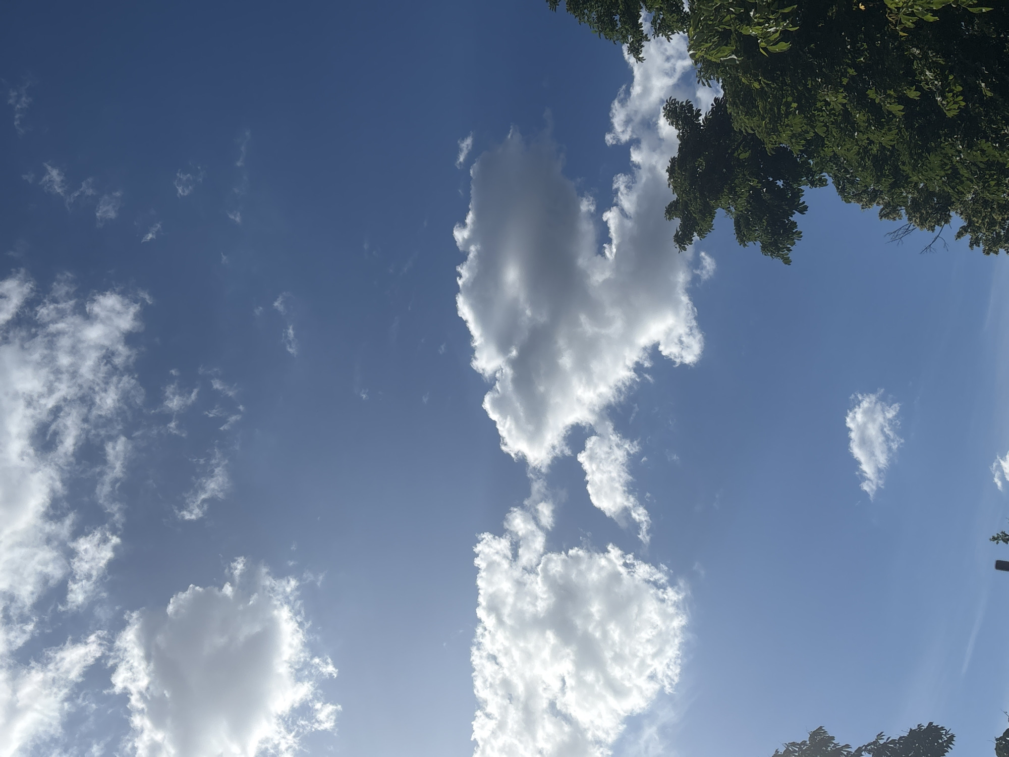 This is a low-angle, vertical, medium shot of a bright blue sky with scattered white clouds. On the right side of the frame, the upper branches and foliage of a mature green tree are visible, obscuring a small portion of the sky. The leaves are dense and well-lit, suggesting sunlight filtering through them. A hint of a second, less dense tree canopy is visible further down and to the left. The clouds vary in size and density; some are wispy cirrus, while others are larger, cumulus formations with shaded undersides. The sun is not directly visible but its presence is indicated by the bright light illuminating the clouds from the upper left. No people or man-made structures are clearly identifiable in the sky portion of the image. The environment appears to be outdoors on a clear day.