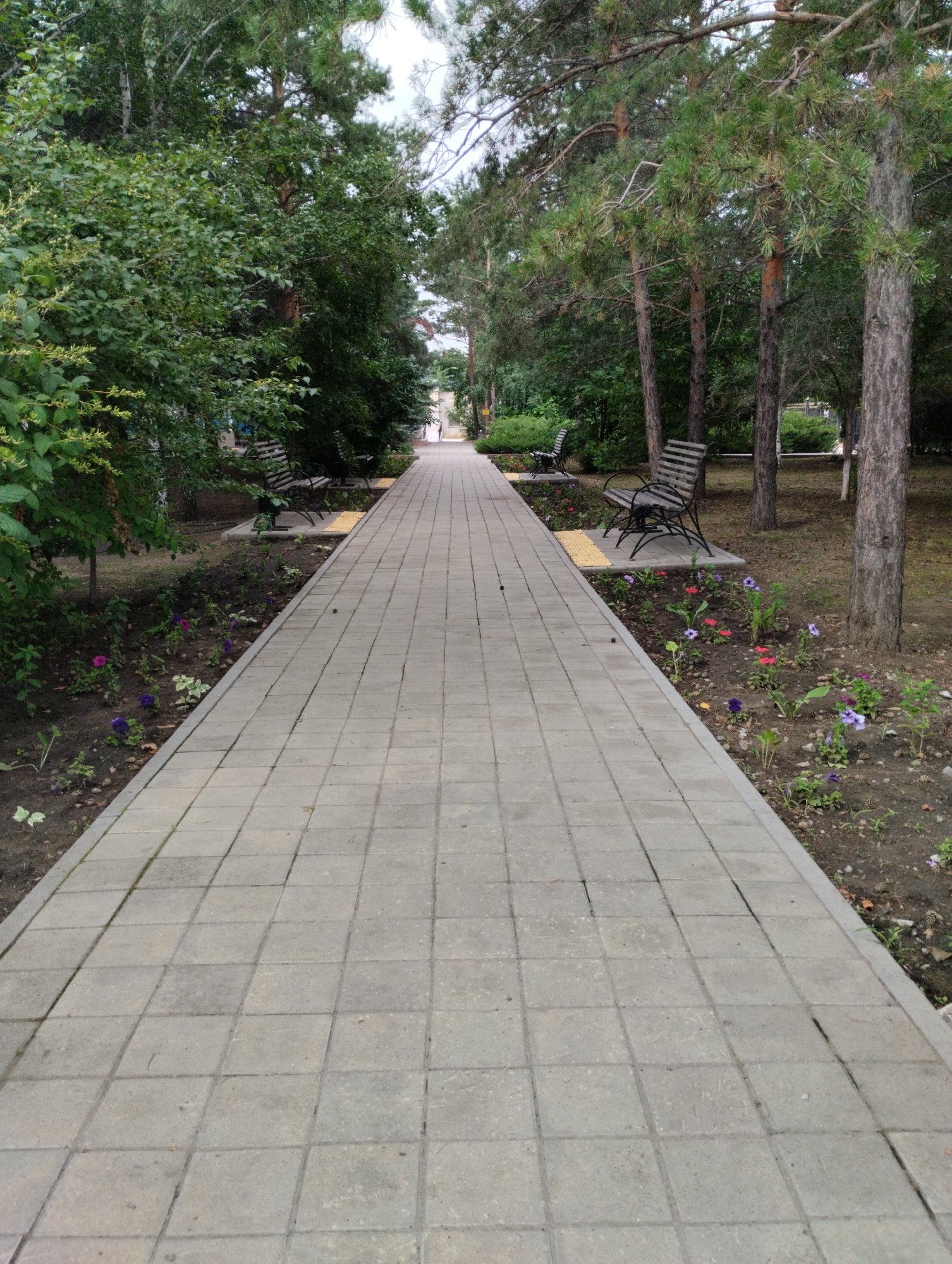 The image depicts a paved walkway in a park-like setting in Kostanay, Kazakhstan. The walkway, constructed of grey square concrete tiles, extends into the distance, lined on either side by trees and greenery. Two park benches with dark metal frames and wooden slats are visible on the left side of the walkway, positioned in front of flowerbeds containing small purple and pink flowers. On the right side, mature trees with rough bark and green foliage form a natural boundary. The ground beneath the trees is covered with dirt and scattered pinecones. In the far distance, a person is walking away from the camera, towards the end of the walkway. The sky is overcast.