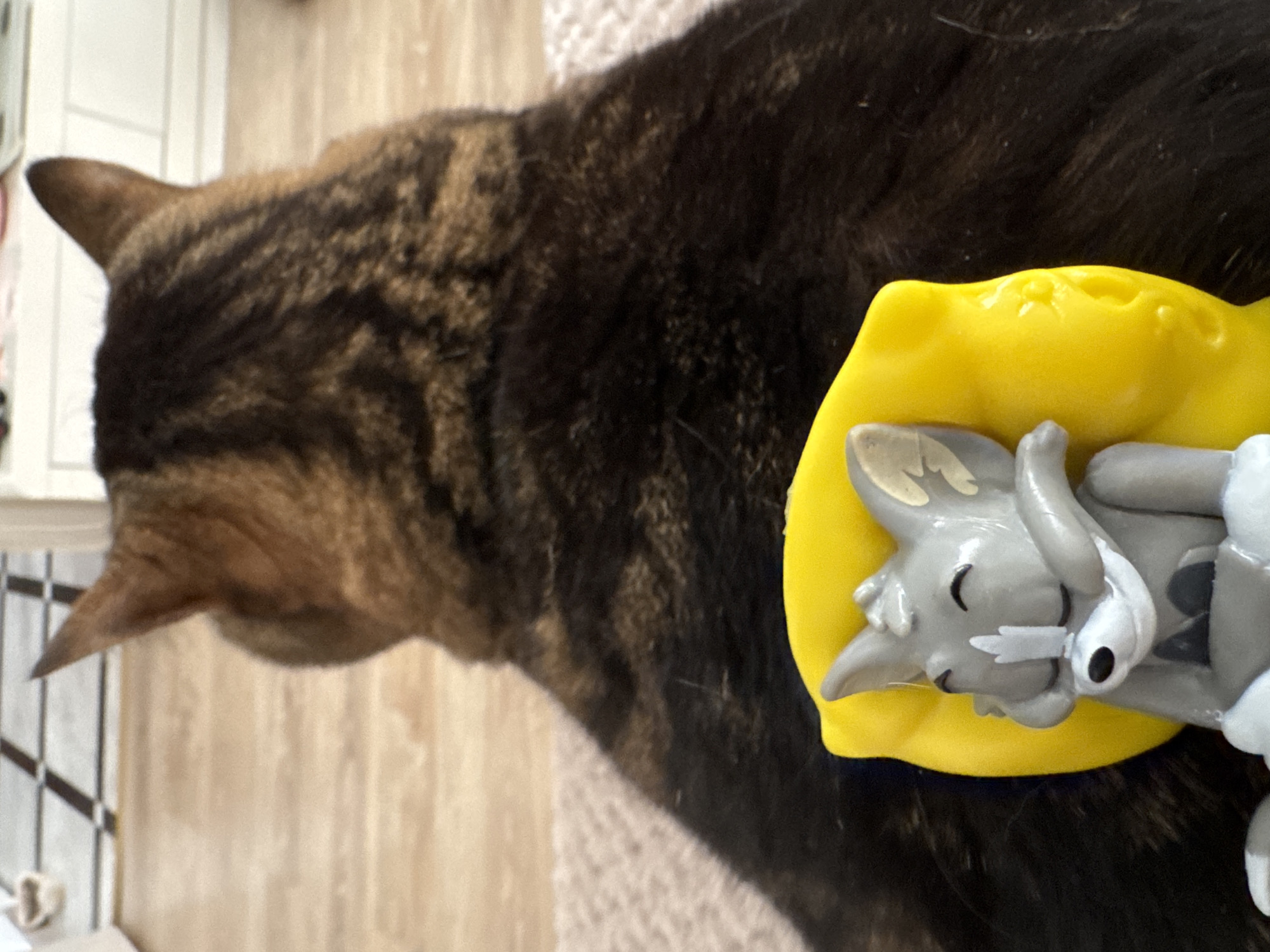 The image shows a close-up of a domestic cat with tabby markings, lying on a textured surface. Next to the cat, a small, grey, cartoonish figurine of a character, possibly a cat or mouse, is resting on a bright yellow object that resembles a cushion or a piece of fruit. The figurine has large ears, closed eyes, and a peaceful expression. The cat's fur is dark brown and black with distinct striped patterns. The background is slightly blurred, showing what appears to be a wooden floor and a white wall with some tiled elements, suggesting an indoor setting. The lighting seems to be natural, indicating it might be daytime. The overall mood of the image is calm and domestic, with the cat seemingly undisturbed by the presence of the figurine. There is no visible text in the image.