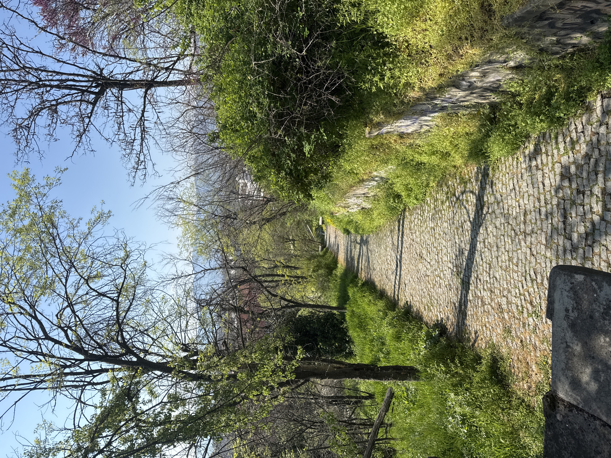 The image shows a cobblestone path in Plovdiv, Bulgaria, lined with trees and greenery. The path appears to be in a park or green space, as indicated by the surrounding foliage. The sky is visible through the trees, suggesting a sunny day. The cobblestone path is in focus, leading the eye down the path. The scene is peaceful and serene, evoking a sense of nature within the city.
