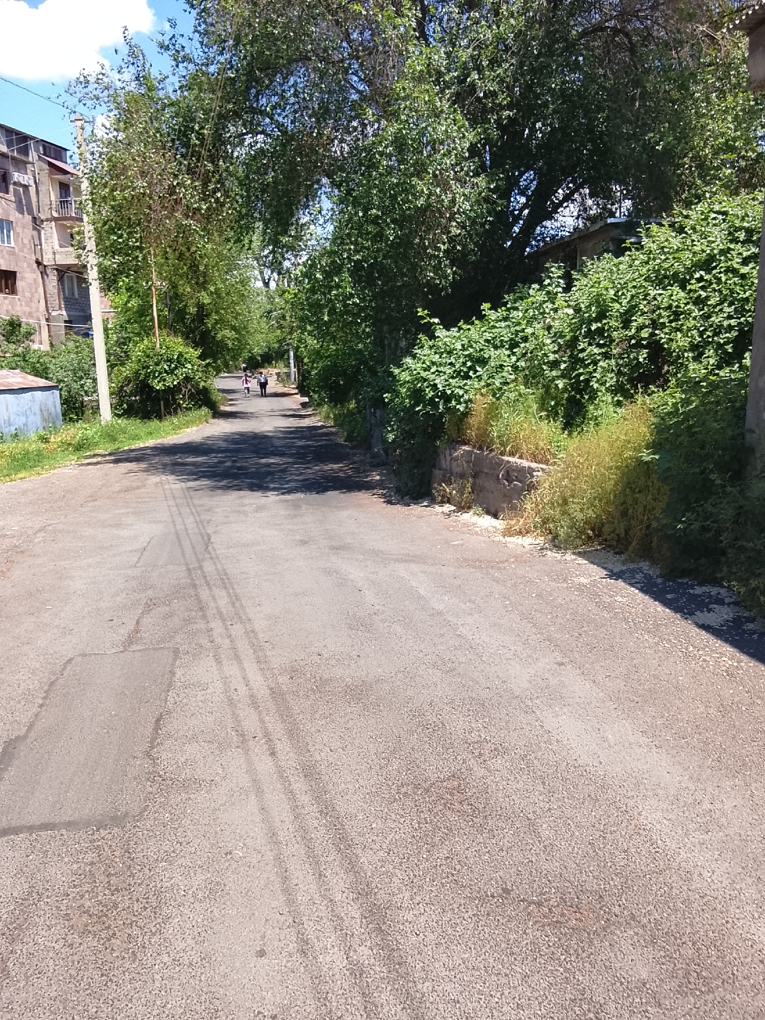 This image captures a sunlit, tree-lined road or path in what appears to be a residential or semi-urban area. The road, made of asphalt with some patches and visible tire marks, recedes into the distance.
On the far left, an multi-story building with balconies and several windows is partially visible, suggesting apartments or houses. A utility pole stands near the building, and a small, blue-colored shed or structure is also visible closer to the foreground on the left. The left side of the road is bordered by dense green foliage and trees that cast shadows onto the path.
The right side of the road features a concrete retaining wall, behind which an abundance of green bushes and leafy trees grow, creating a lush green barrier. Some dried grass and weeds are also visible along the base of this wall.
In the mid-ground, two individuals, likely women, are walking away from the viewer along the road. They are clad in casual clothing, and their figures are somewhat indistinct due to the distance.
The scene is bathed in bright daylight, indicated by the strong shadows cast by the trees and foliage. A clear blue sky with some white clouds is visible through the canopy of the trees. The overall impression is one of a quiet, warm day in a green, established neighborhood. No discernible text is visible in the image.