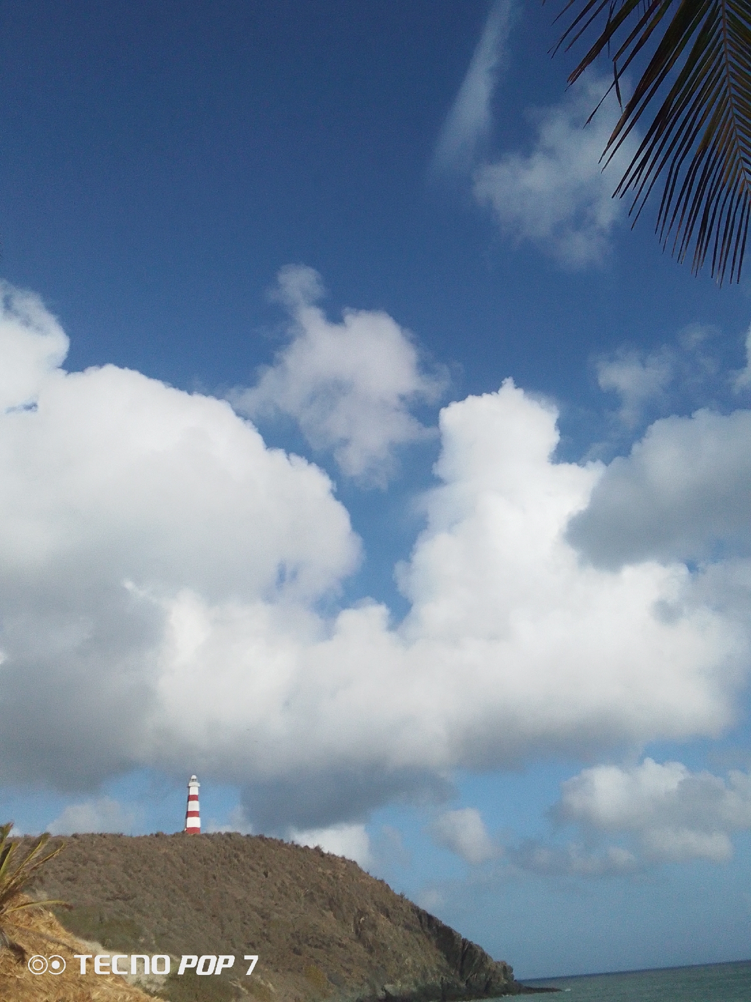 The image captures a daytime scene in Pedro González, Venezuela. A lighthouse with alternating red and white stripes stands on a hill. The sky is blue with scattered white clouds. A portion of a palm tree's fronds is visible in the upper right corner. The sea is visible at the bottom of the image.