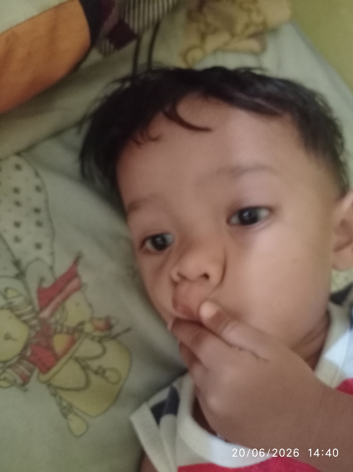 Memory