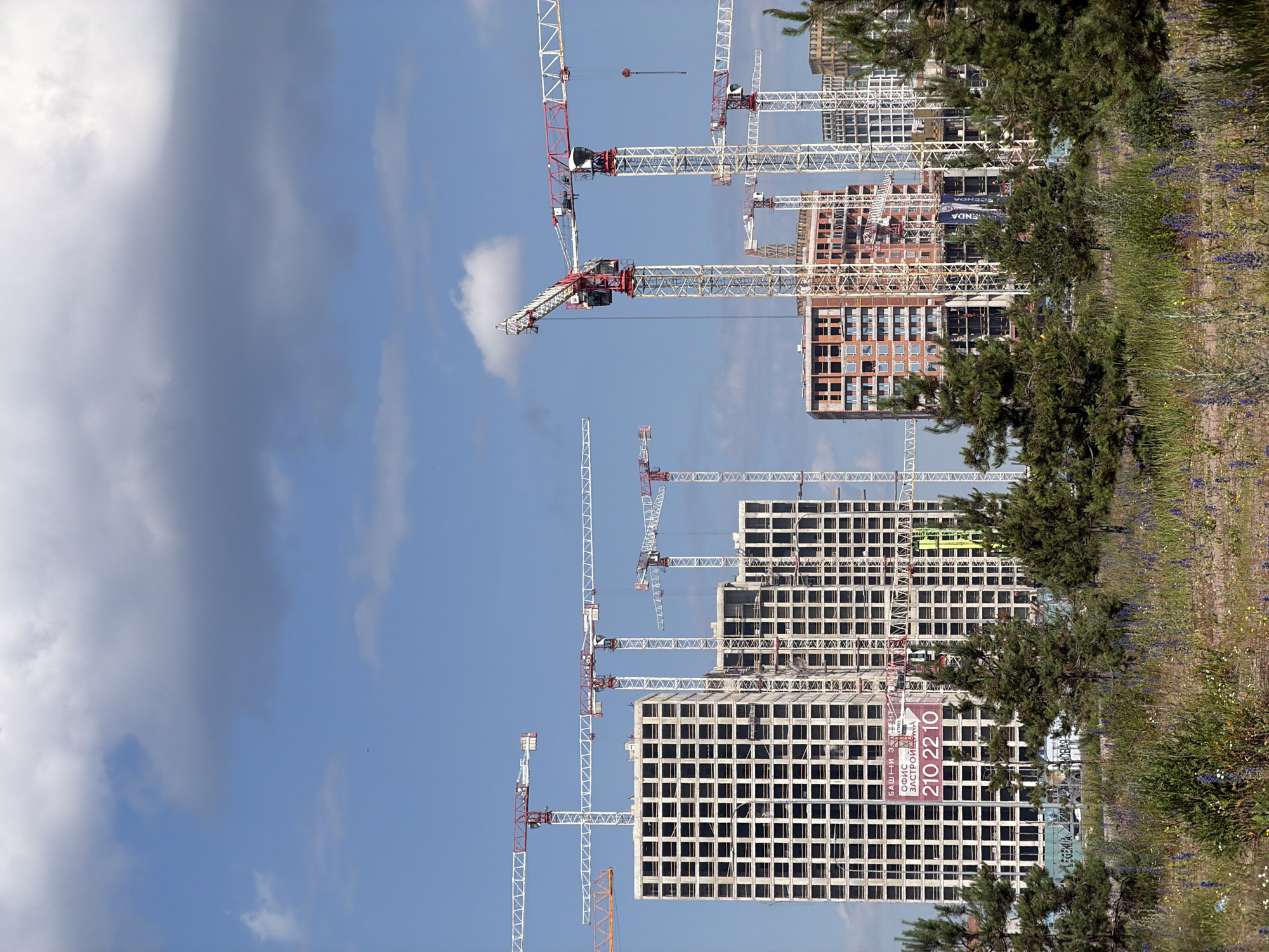 The image shows a construction site in Saint Petersburg, Russia. Several tall, unfinished apartment buildings are visible, surrounded by numerous tower cranes. The buildings are made of concrete and have a grid-like pattern of windows. In the foreground, there is a field of grass and wildflowers, with several evergreen trees. The sky is blue with some scattered clouds. One of the buildings has a large banner on it with text in Russian and the phone number "210 22 10". The overall scene depicts ongoing urban development.