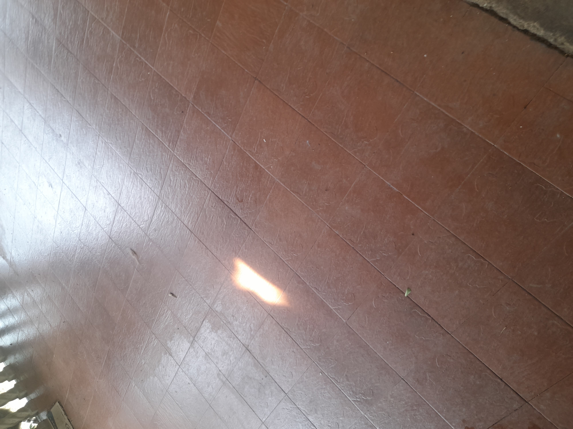 The image shows a sunbeam illuminating a section of a tiled floor. The tiles are a reddish-brown color and appear to be slightly worn. There are a few small specks of dirt or debris scattered on the floor. In the upper left corner, a shadow of what appears to be a railing or a similar structure is visible. The scene is likely outdoors or near an opening that allows sunlight to enter. There is no indication of specific location in Santa Ana, Venezuela, beyond it being a tiled floor area.