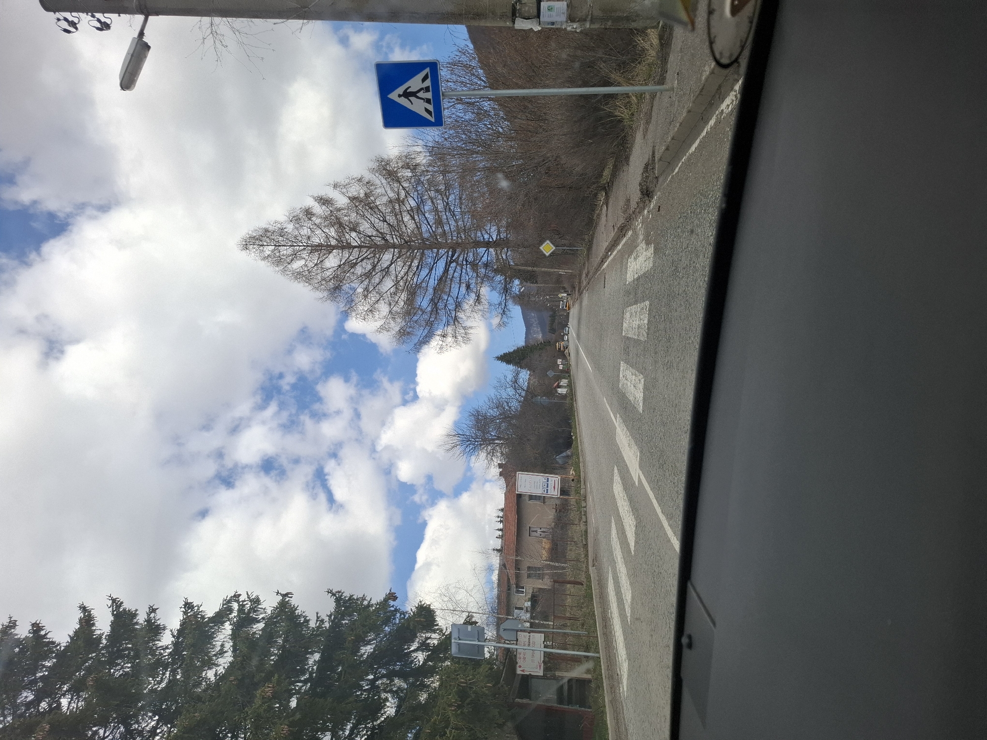 The image shows a road in Gintsi, Bulgaria, as viewed from inside a vehicle. A pedestrian crossing is visible on the road. Road signs are present, including a blue rectangular sign with a white pedestrian symbol, and a yellow diamond-shaped sign further down the road. A tree with sparse branches stands near the pedestrian crossing sign. Buildings and vegetation line the road. The sky is cloudy with patches of blue. The photograph is taken from the perspective of someone inside a car, with a portion of the car's interior visible.