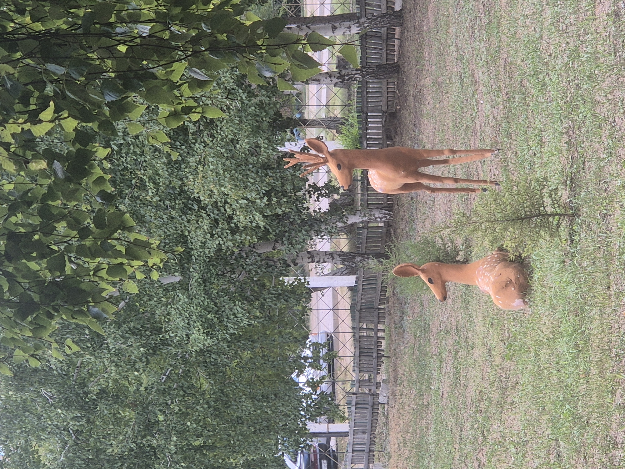 The image depicts an outdoor scene with two decorative deer figures in a grassy area. The deer are positioned in a park-like setting with trees and a fence in the background. One deer is standing and facing left, with its head turned slightly to the side, revealing antlers. The other deer is lying down on the grass, facing to the right. Both figures are a light brown color and appear to be made of a material like fiberglass or resin, with white speckles on their bodies.
Behind the deer, there is a wooden fence and beyond that, a road with several cars visible. The trees in the background are lush and green, suggesting a temperate climate. The ground is covered in grass and some patches of dirt. The lighting suggests it is daytime, likely overcast or with diffused sunlight filtering through the trees.
Based on the provided context, this scene is located in Kokshetau, Kazakhstan. The overall atmosphere is serene and decorative, with the deer figures serving as an artistic or ornamental element in the environment. There are no people or animals visible in the scene.