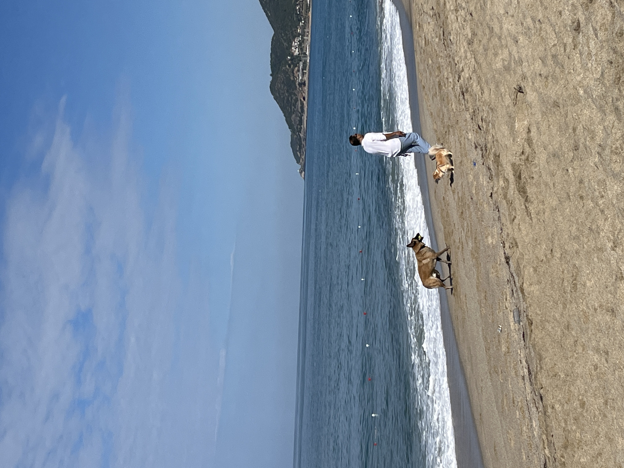 On a sunny day in Alanya, Turkey, a man in a white shirt and blue pants is seen walking along a sandy beach next to the ocean. Two dogs, one of which is wearing a harness, are with him. Buoys are visible in the water. A hill or small mountain with buildings on it is in the background. The sky is blue with scattered clouds.
