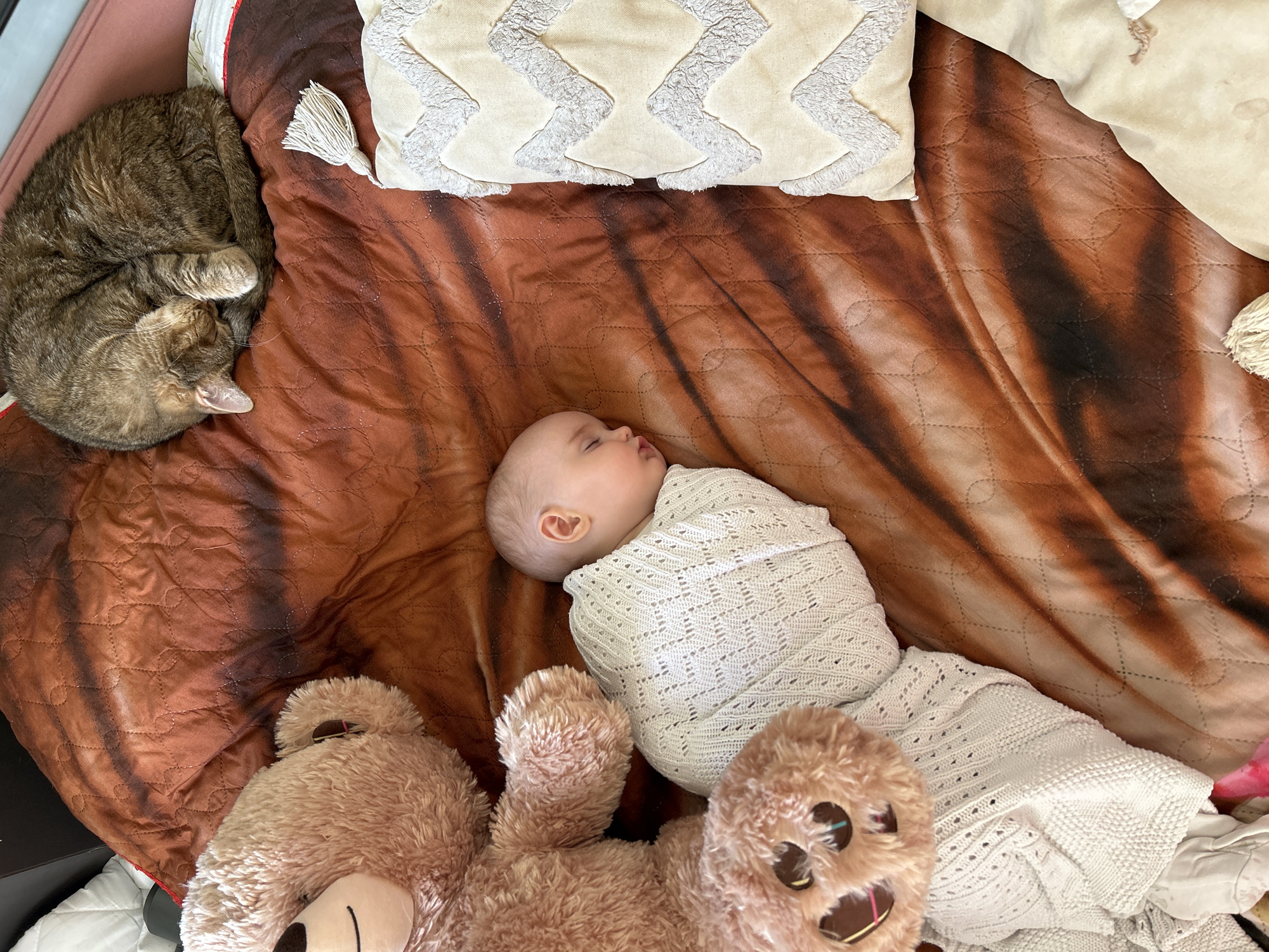 A high-angle shot depicts a baby swaddled in a white, knitted blanket lying on a brown and tan patterned bedspread. A tabby cat is curled up at the upper left, while a stuffed teddy bear rests near the bottom left of the frame. Above the baby, a neutral-toned pillow with geometric designs rests on the bedspread. The scene suggests a domestic setting. The city of Moscow, Russia is not discernible from the information given in the image.