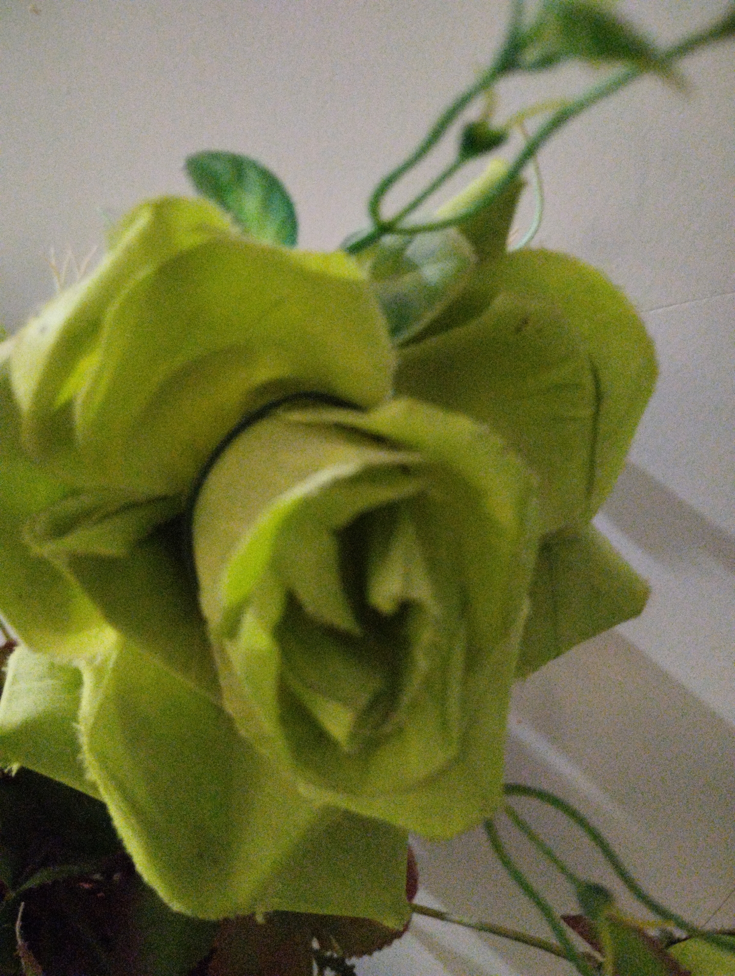 The image shows a close-up, out-of-focus view of a light green rose and its stem. The rose appears to be made of artificial material, with soft, velvety petals. The lighting is subdued, casting a soft glow on the flower. The background is a light, neutral color, possibly a wall. There is no text visible in the image. The overall impression is one of a still life, focusing on the delicate beauty of the flower.