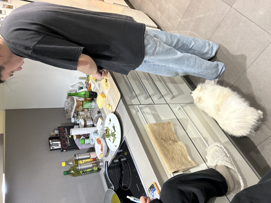 A person in a grey t-shirt and light-wash jeans stands at a kitchen counter, cutting cheese on a wooden board laden with food items. A fluffy white dog rests on the floor nearby. The counter is filled with various ingredients, including bottles, jars, and a plate of olives. A stovetop and a person wearing slippers and black pants are visible in the foreground, adding to the busy domestic scene.
